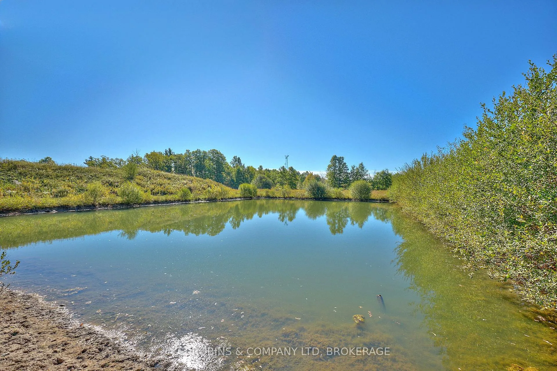 Photo 10 of 14440 McKenney Road, Niagara Falls, Schisler — HOMEH