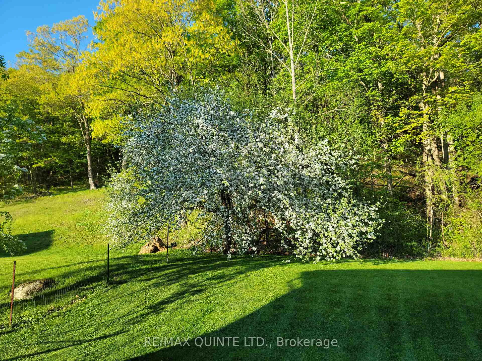 Photo 38 of 966 Glen Miller Road, Quinte West, Sidney Ward — HOMEH