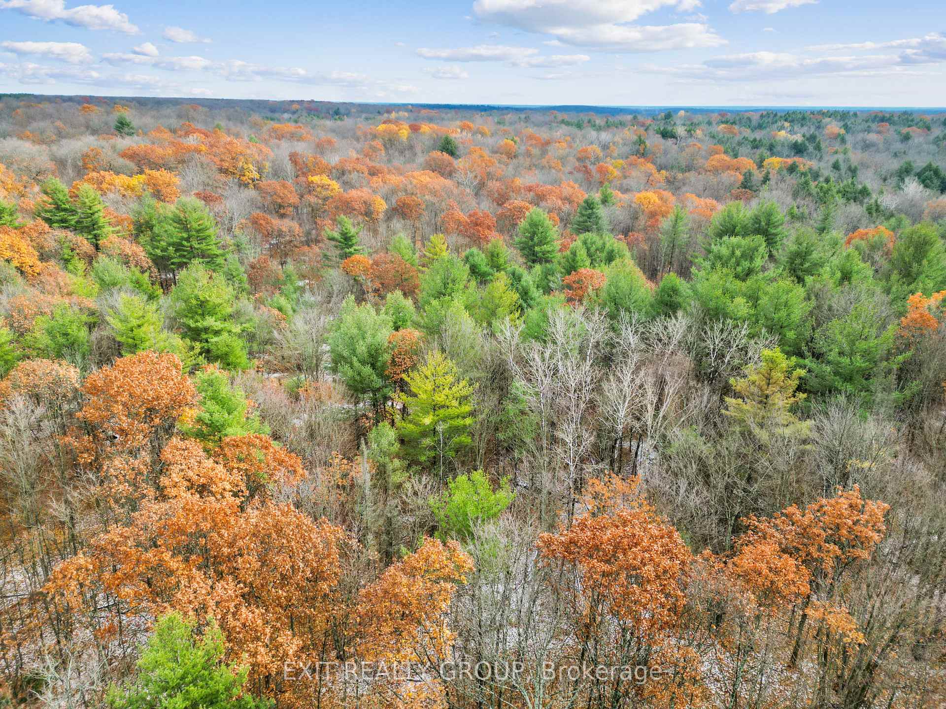 Photo 15 of Morrison Road, Madoc — HOMEH