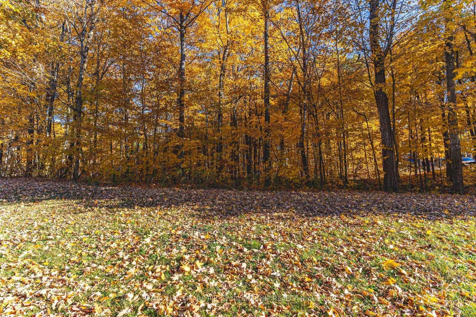 Photo 3 of 17 Maple Ridge Road, Oro-Medonte, Rural Oro-Medonte — HOMEH