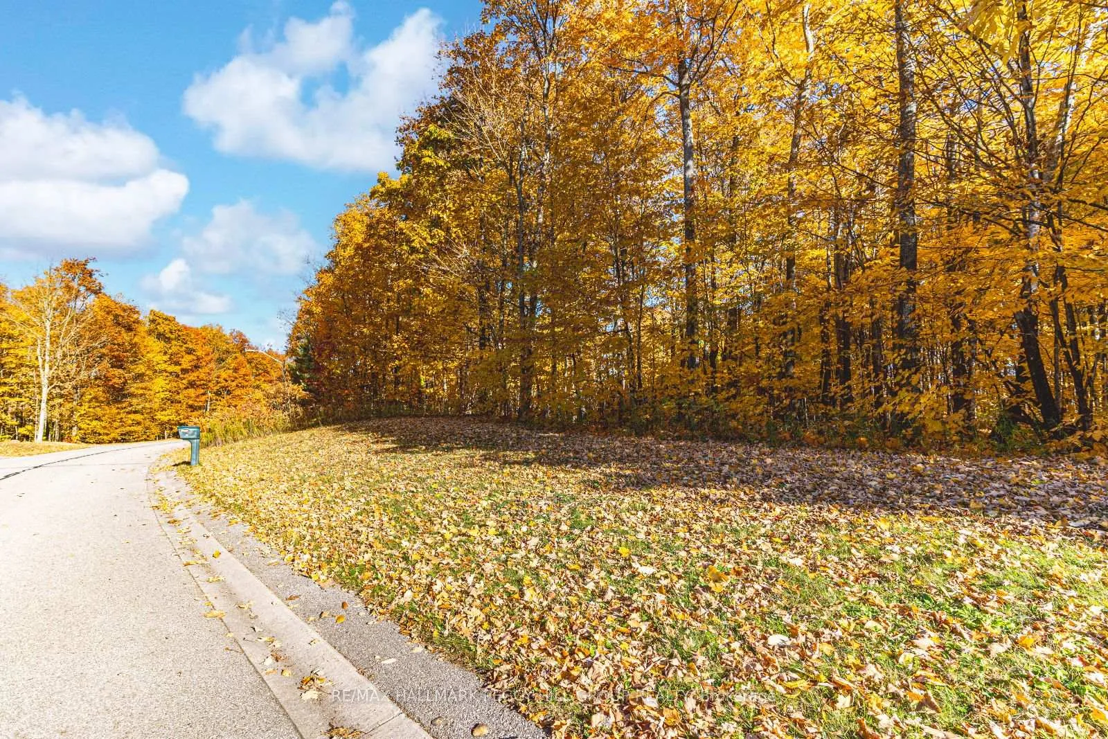 Photo 4 of 17 Maple Ridge Road, Oro-Medonte, Rural Oro-Medonte — HOMEH