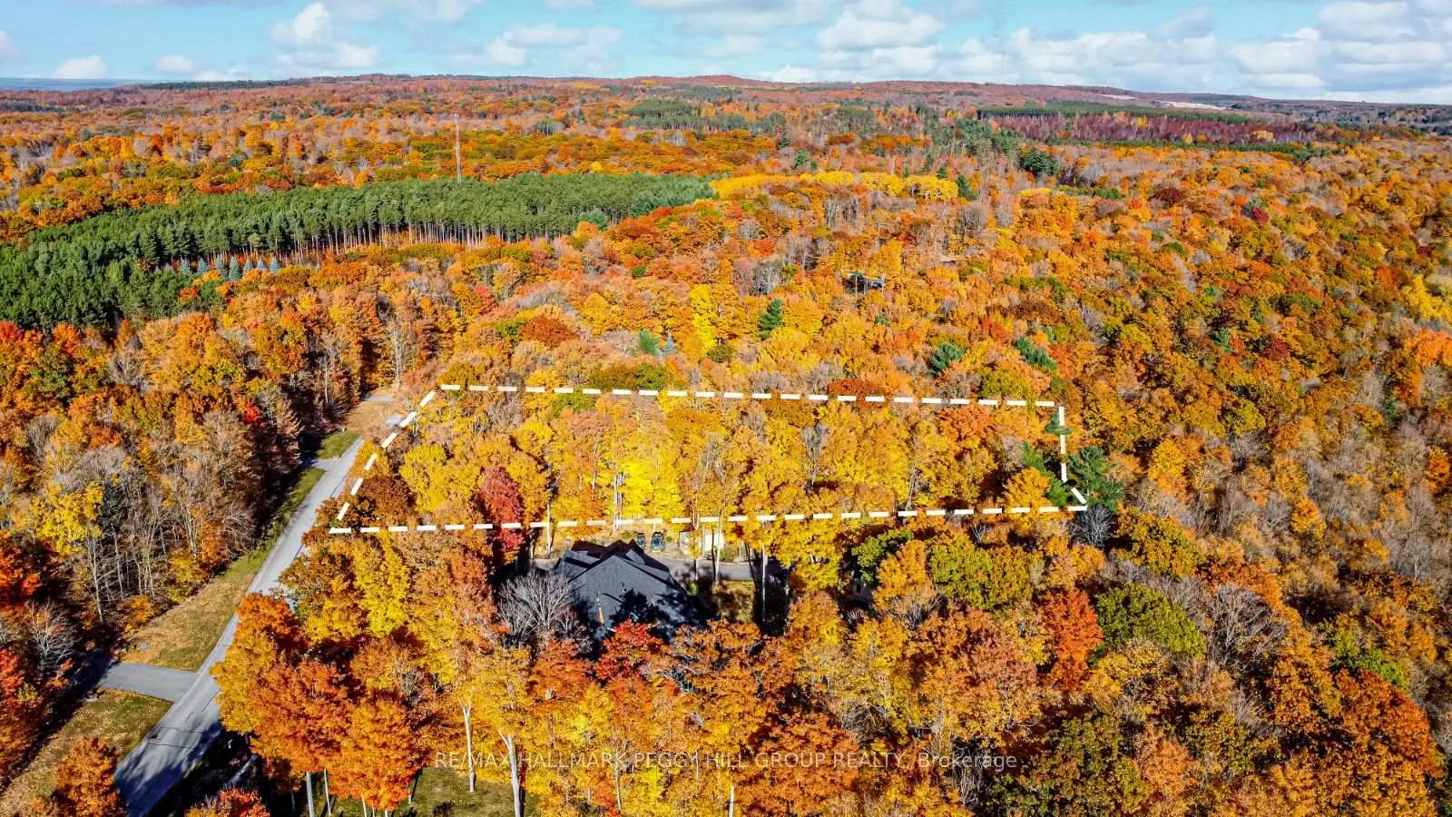 Photo 5 of 17 Maple Ridge Road, Oro-Medonte, Rural Oro-Medonte — HOMEH