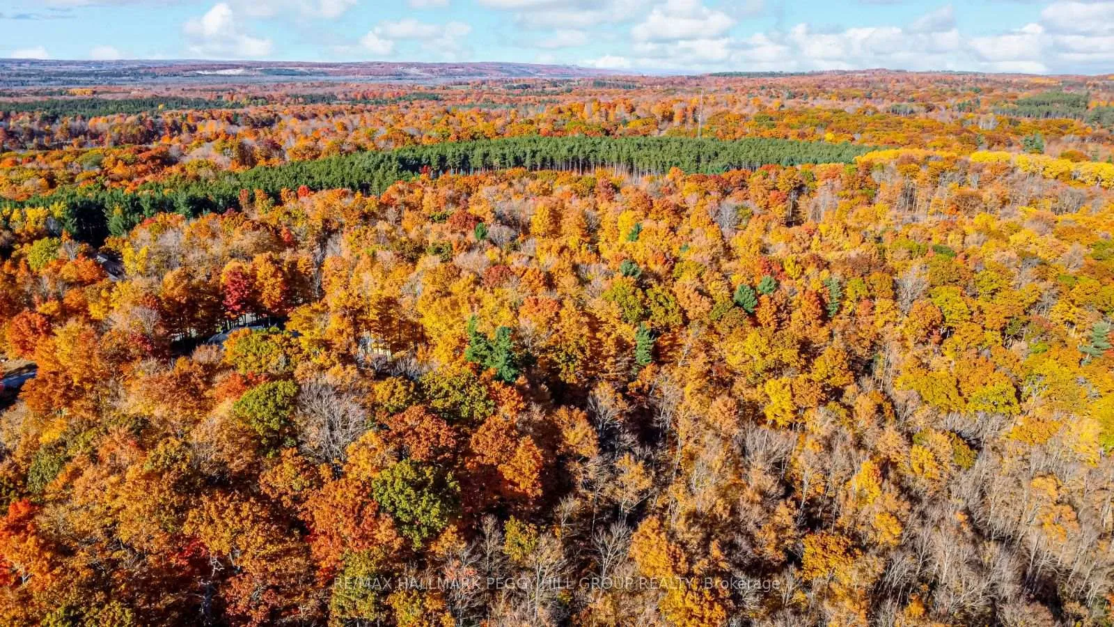 Photo 6 of 17 Maple Ridge Road, Oro-Medonte, Rural Oro-Medonte — HOMEH