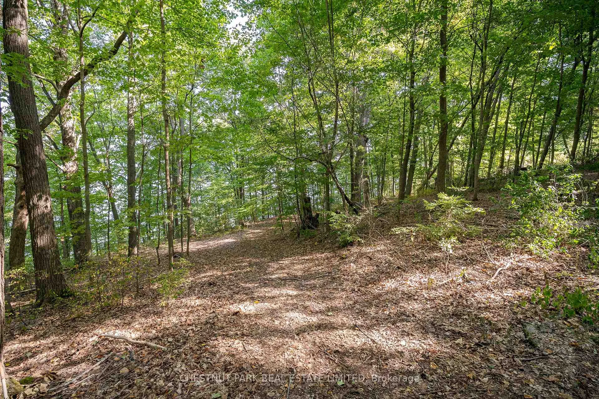 Photo 22 of 2035 County Rd 7, Prince Edward County, North Marysburg Ward — HOMEH