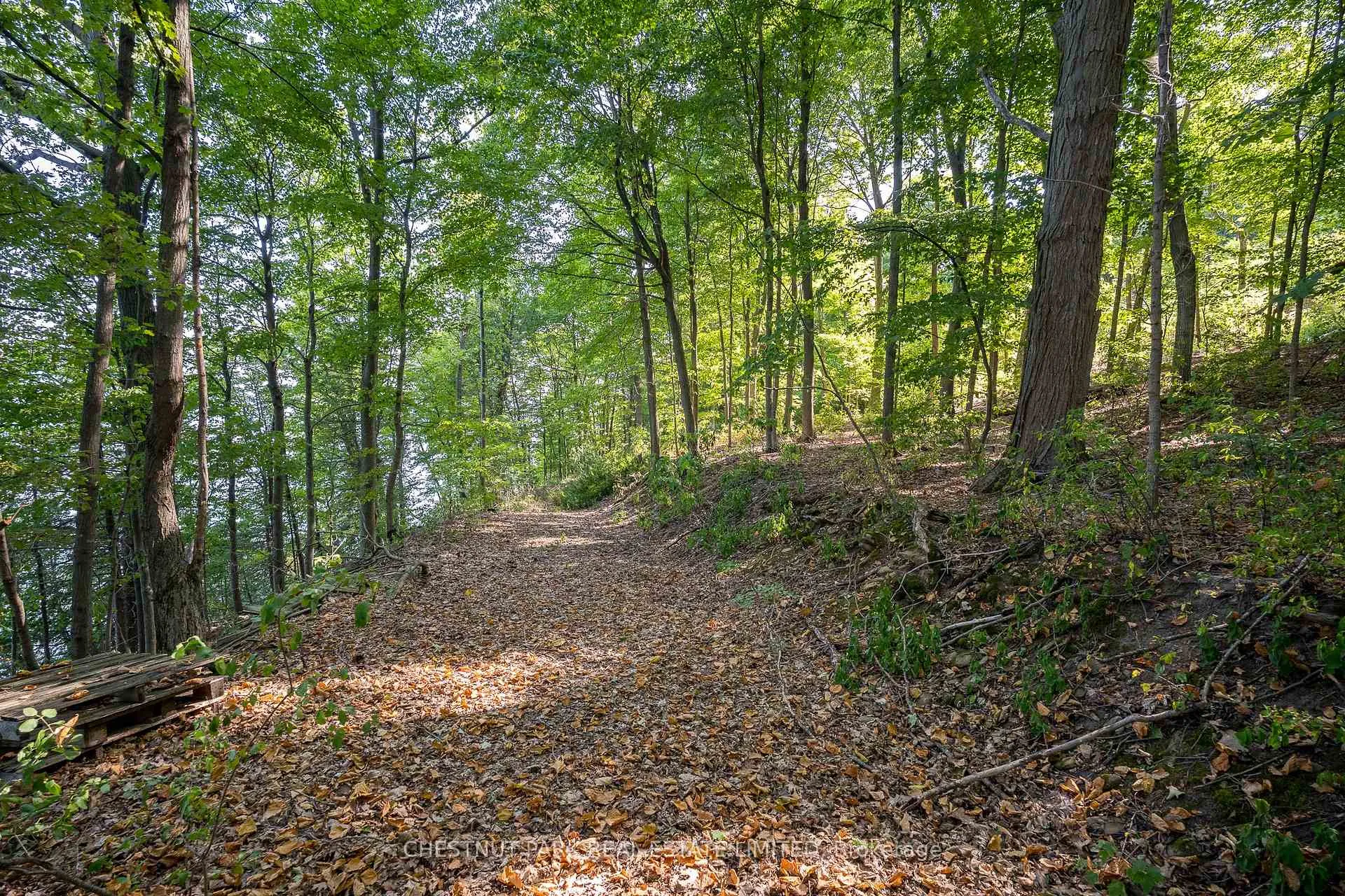 Photo 23 of 2035 County Rd 7, Prince Edward County, North Marysburg Ward — HOMEH