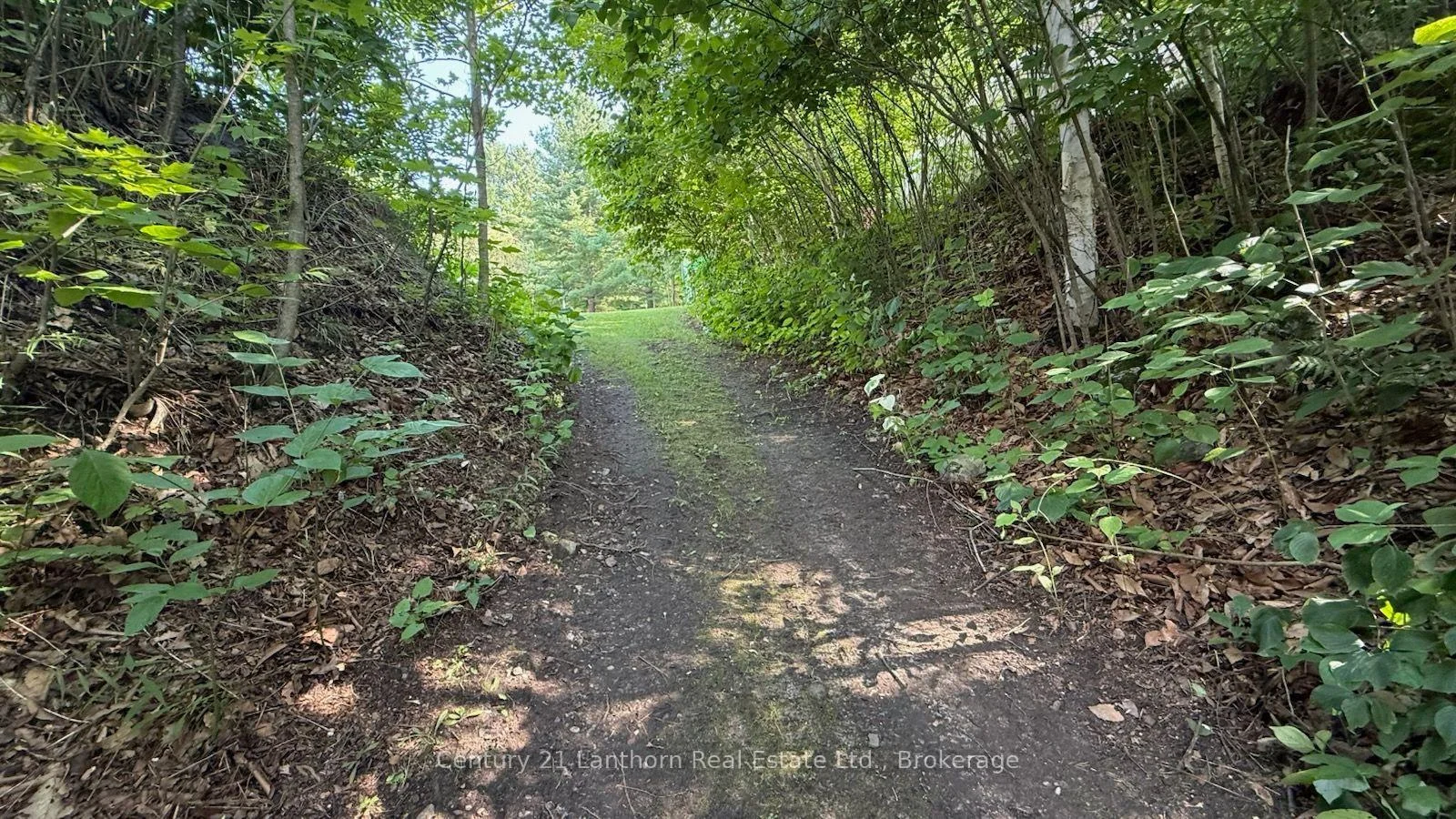 Photo 81 of 177 Camp Lane, Tweed, Hungerford (Twp) — HOMEH