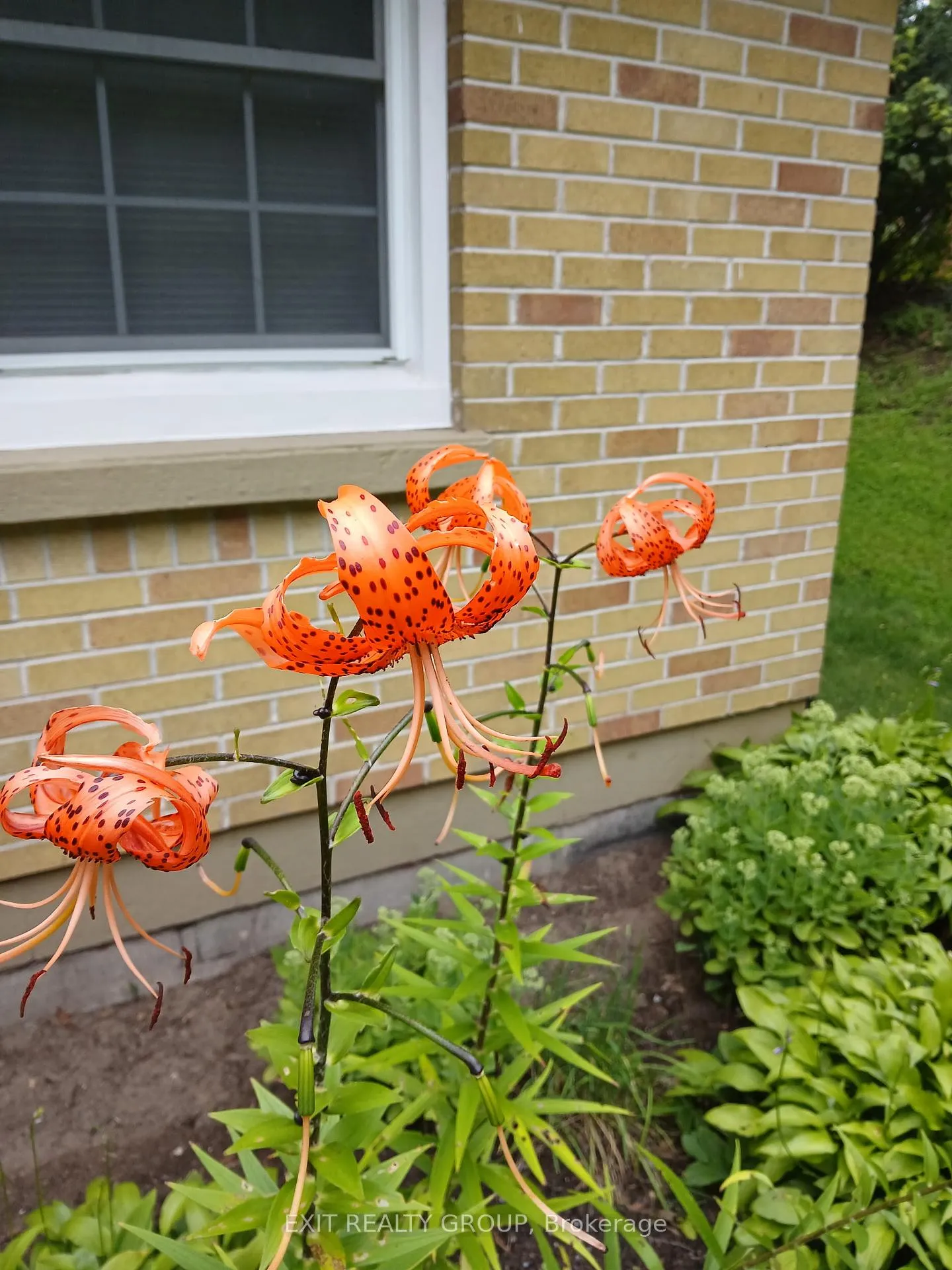Photo 5 of 40 Zion Road, Quinte West, Murray Ward — HOMEH