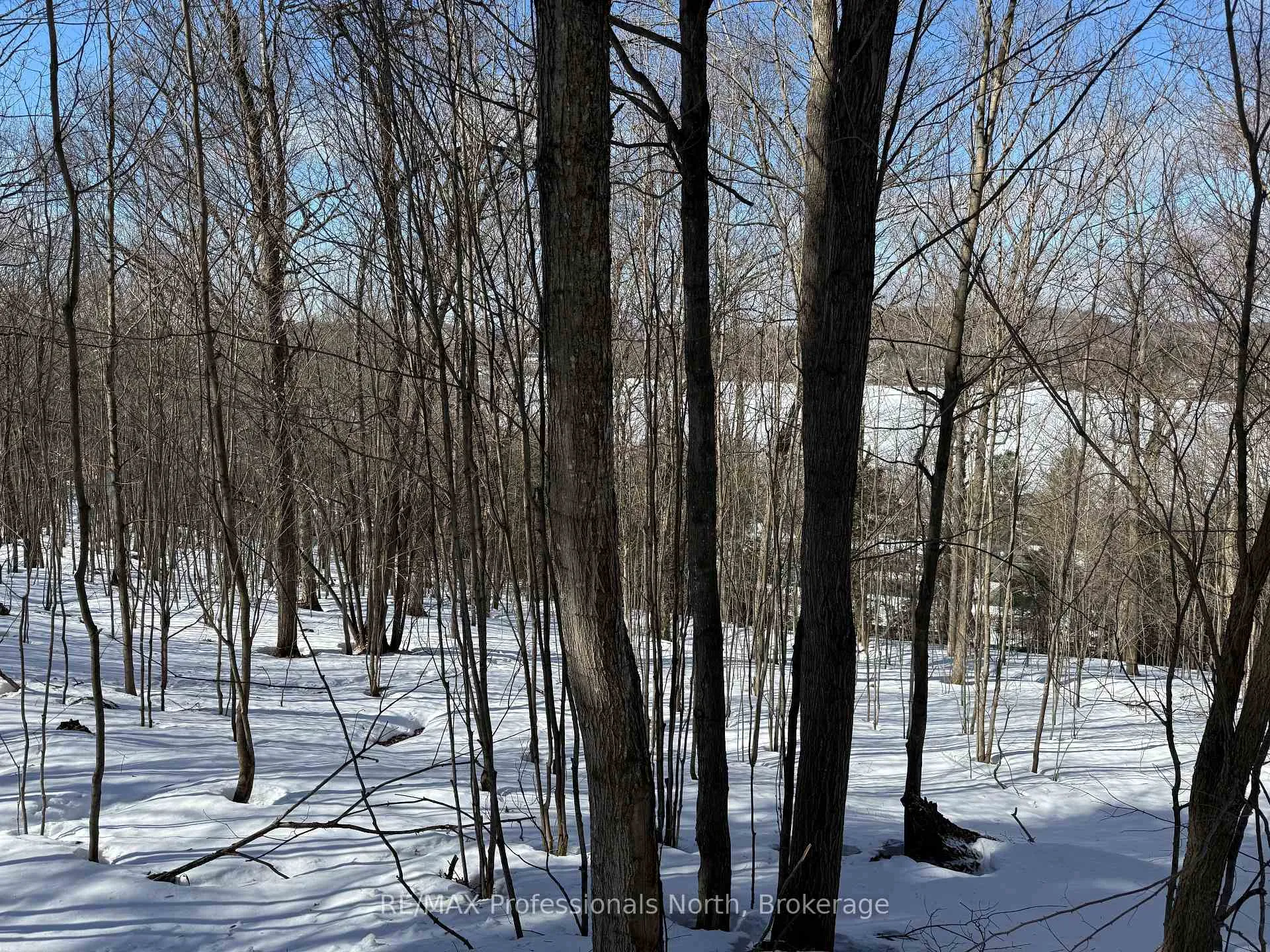 Photo of 22 Walpole Street W