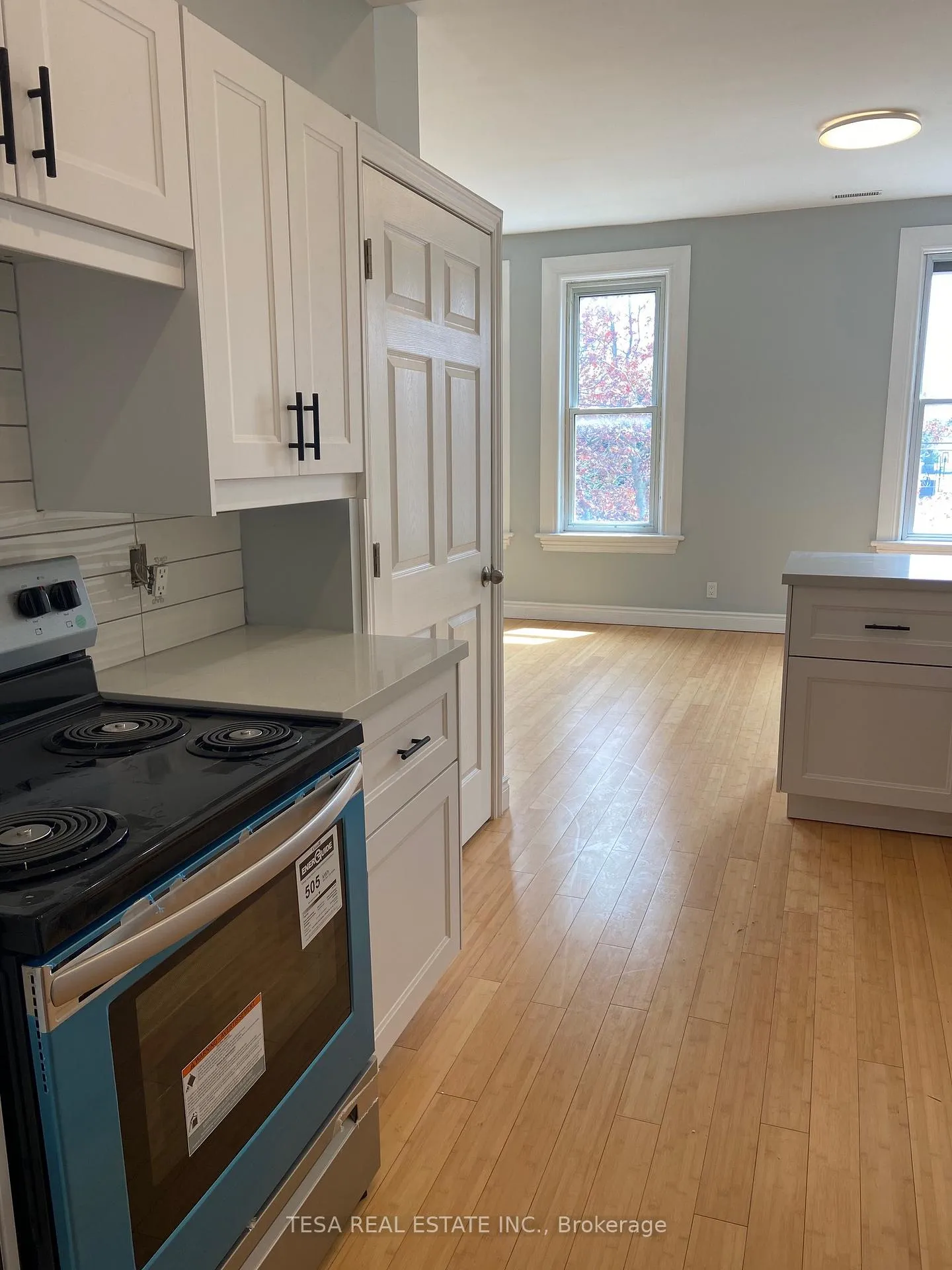 Photo 3 of Unit 2, 158 Darling Street, Brantford — HOMEH