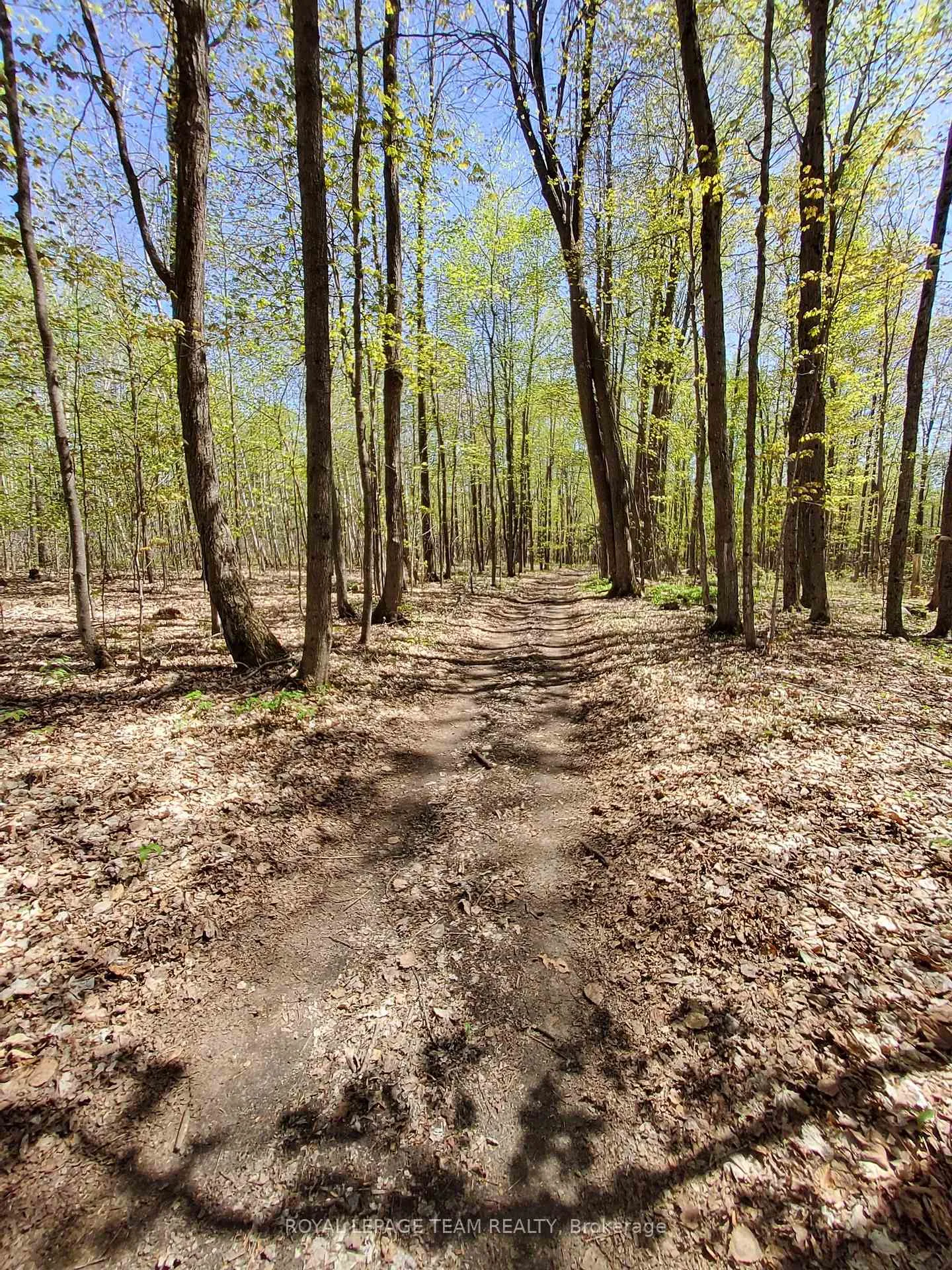 Photo 6 of Totem Ranch Road, Edwardsburgh/Cardinal, Edwardsburgh/Cardinal Twp — HOMEH