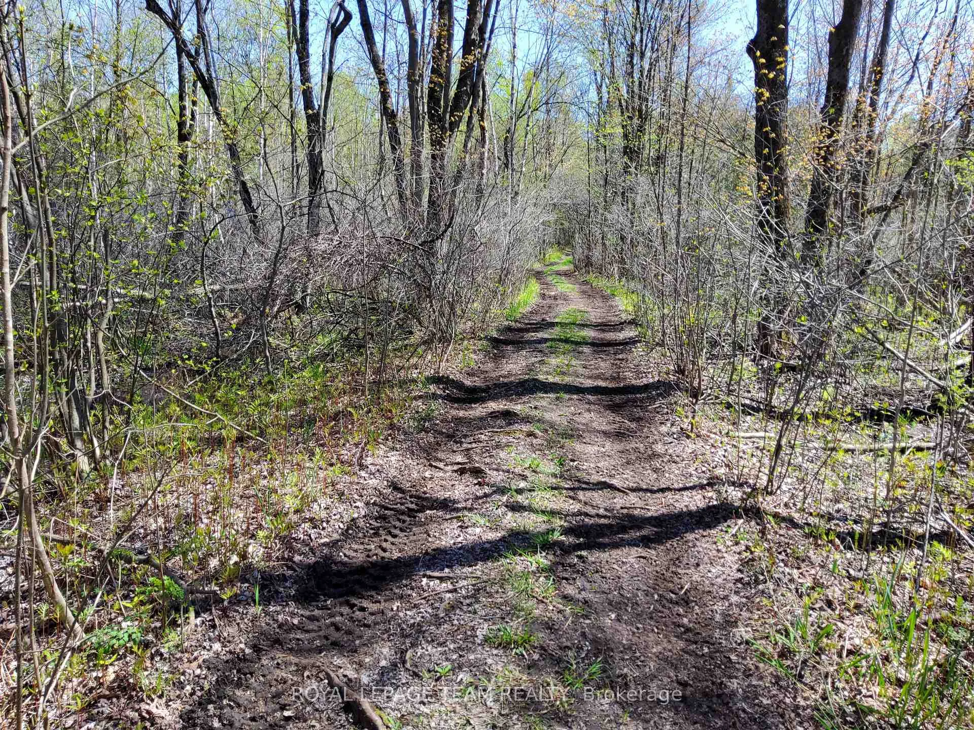 Photo 7 of Totem Ranch Road, Edwardsburgh/Cardinal, Edwardsburgh/Cardinal Twp — HOMEH