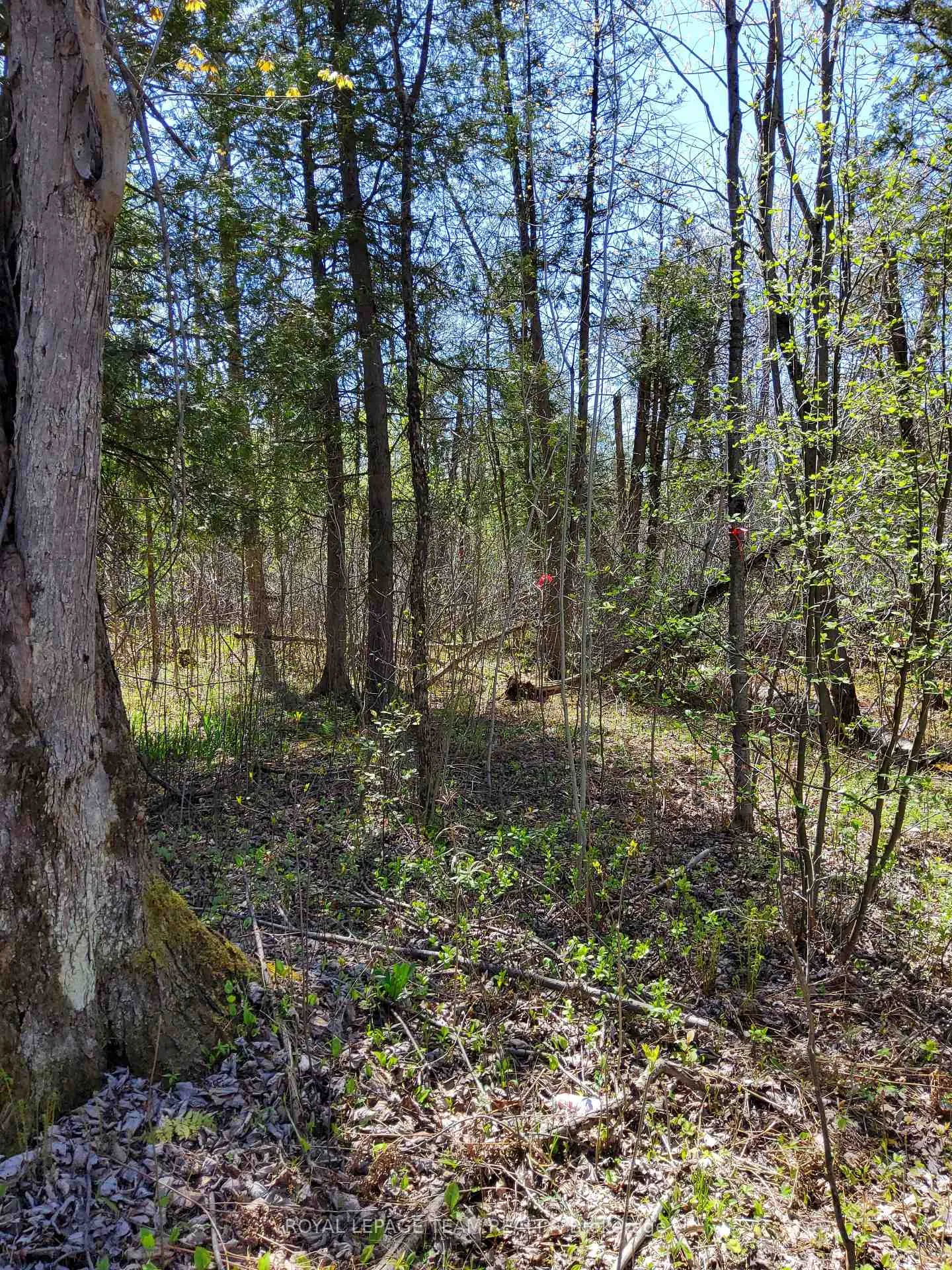 Photo 8 of Totem Ranch Road, Edwardsburgh/Cardinal, Edwardsburgh/Cardinal Twp — HOMEH