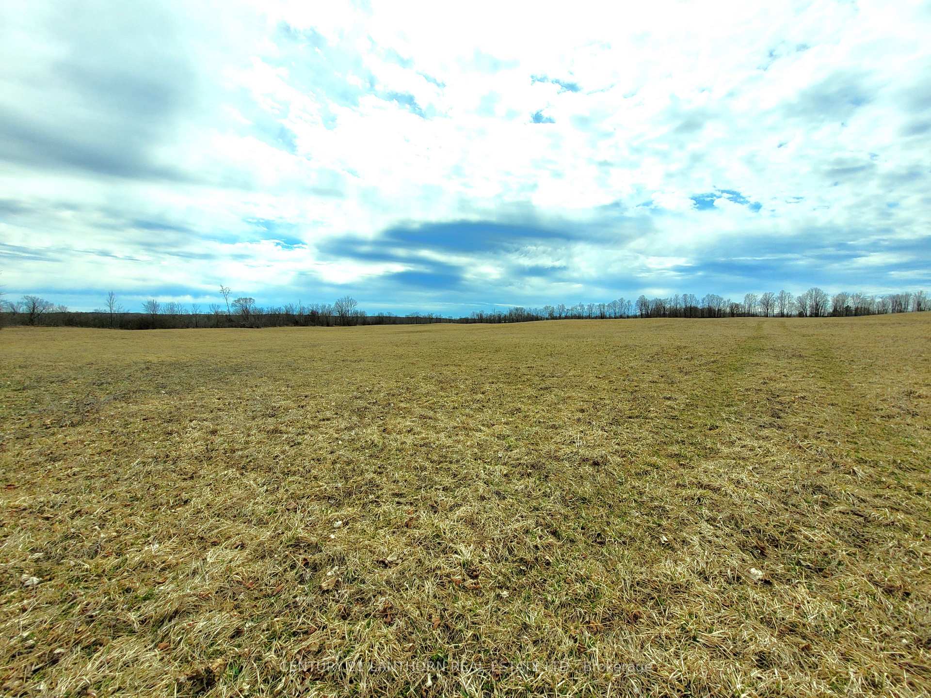 Photo 3 of 00 Deloro Road, Madoc — HOMEH