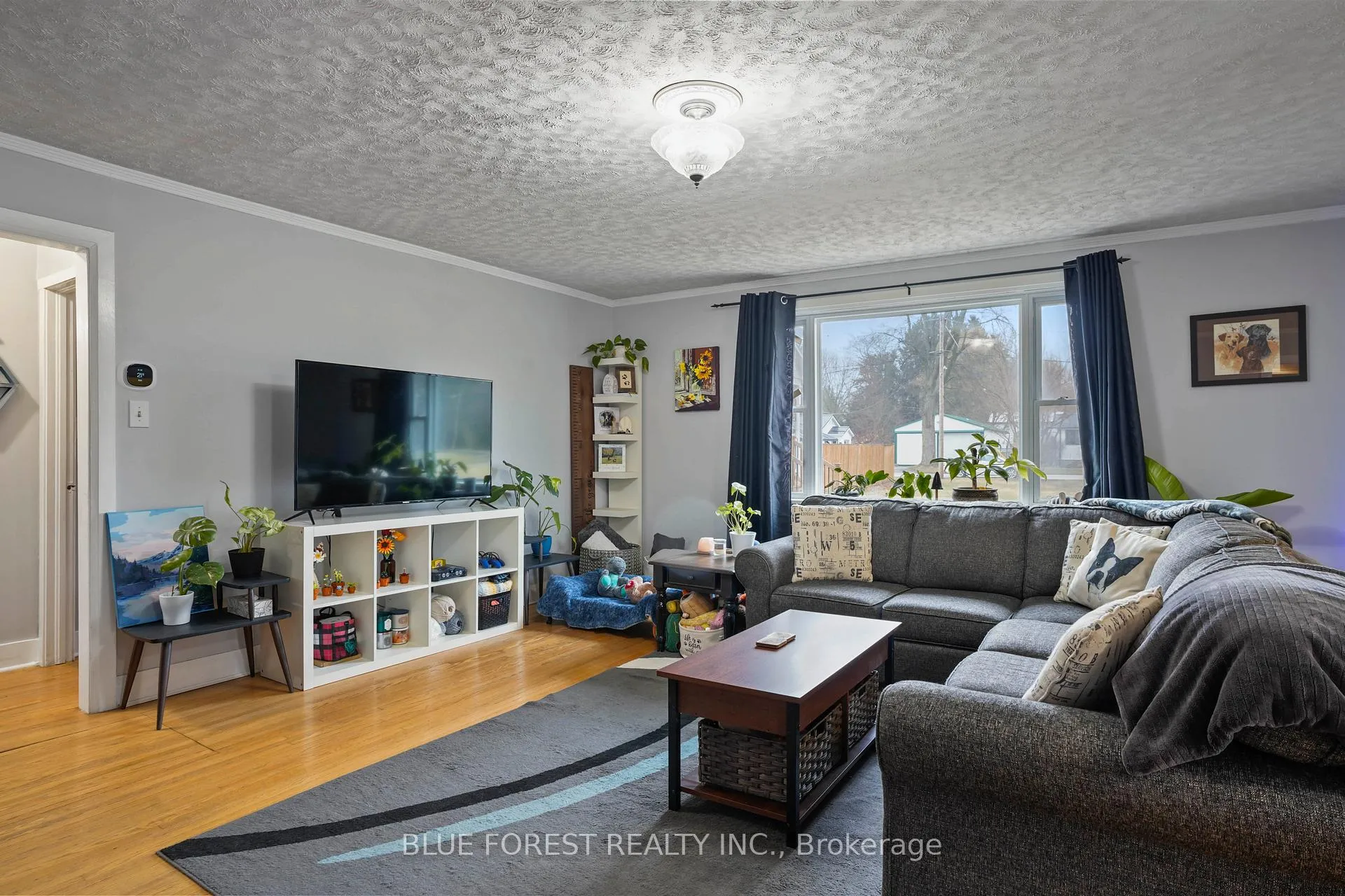 Photo 9 of 163 Shackleton Street, Dutton/Dunwich, Dutton — HOMEH