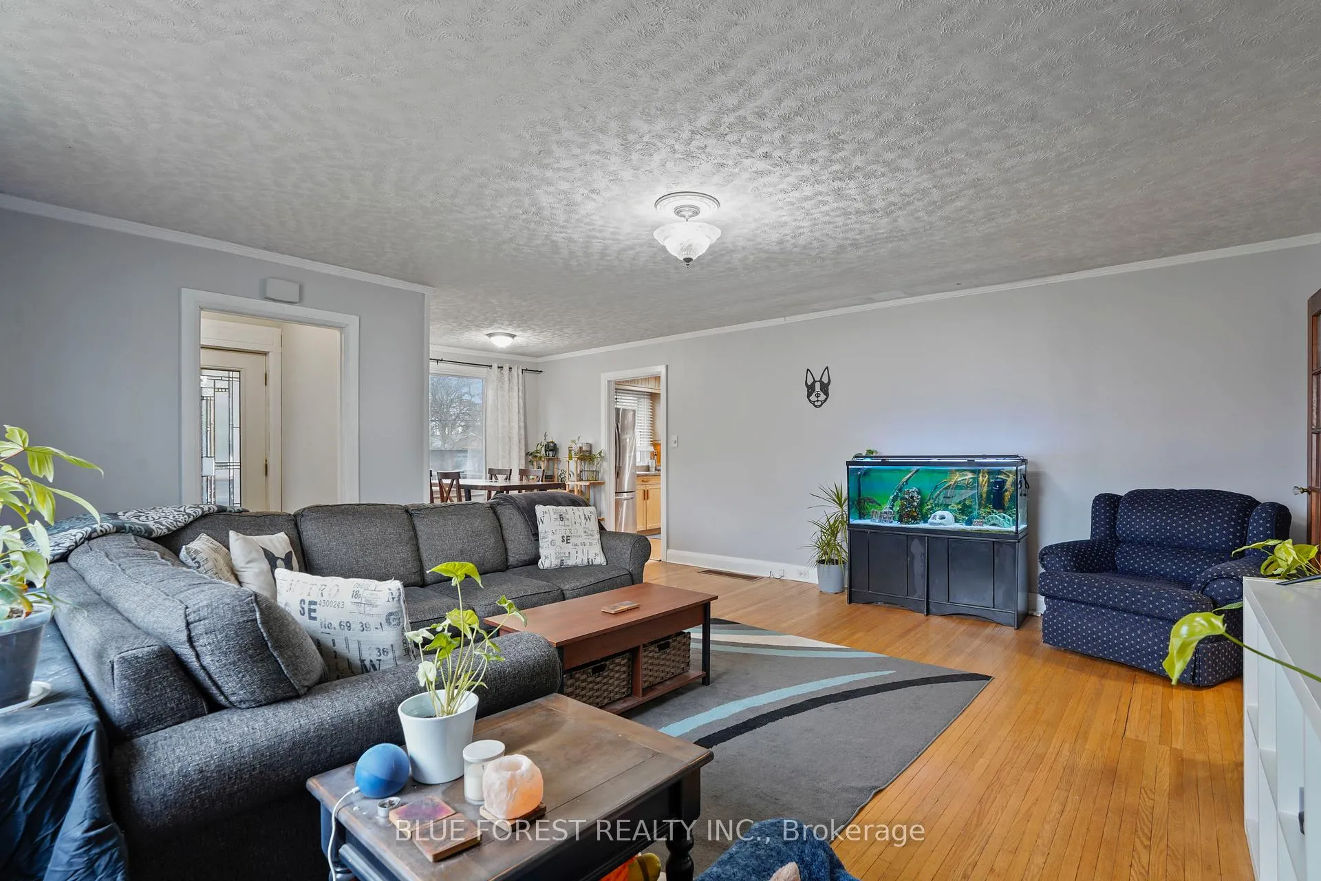 Photo 11 of 163 Shackleton Street, Dutton/Dunwich, Dutton — HOMEH