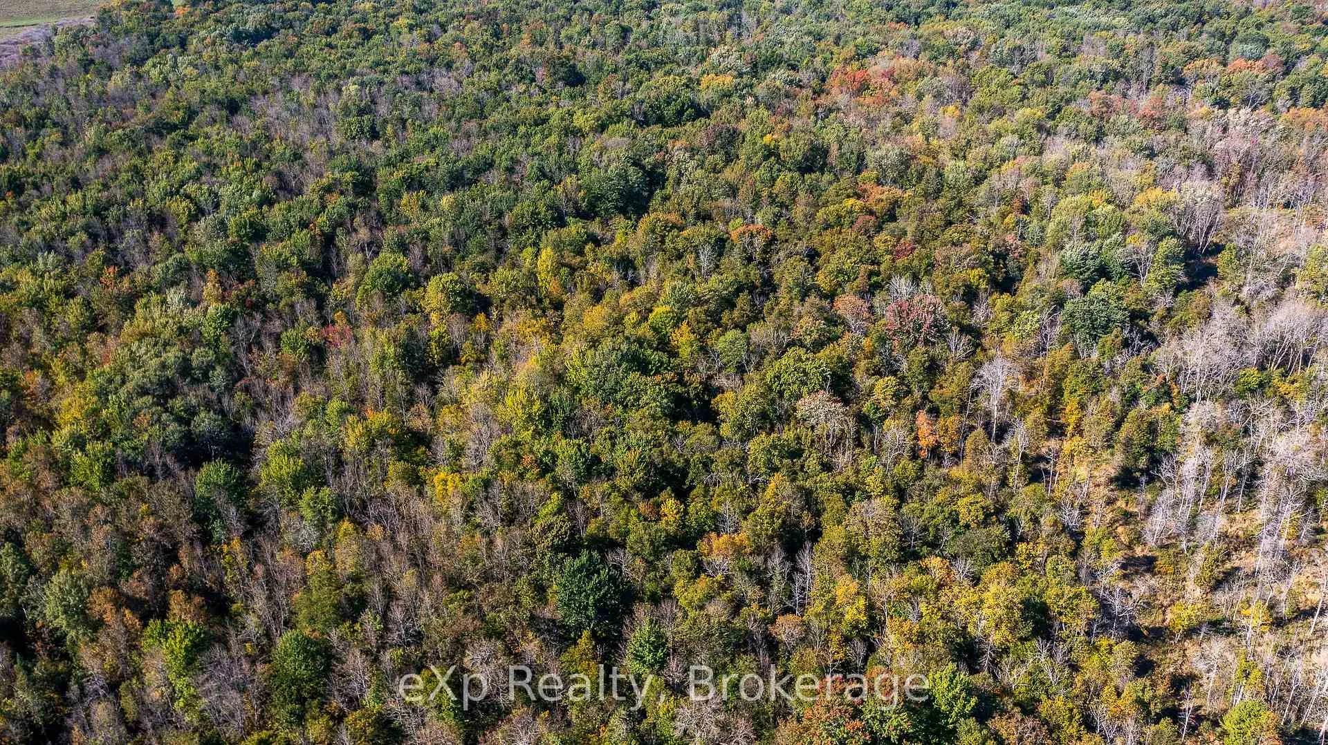 Photo 5 of 1/4 LT3 Sideroad 3, Chatsworth — HOMEH