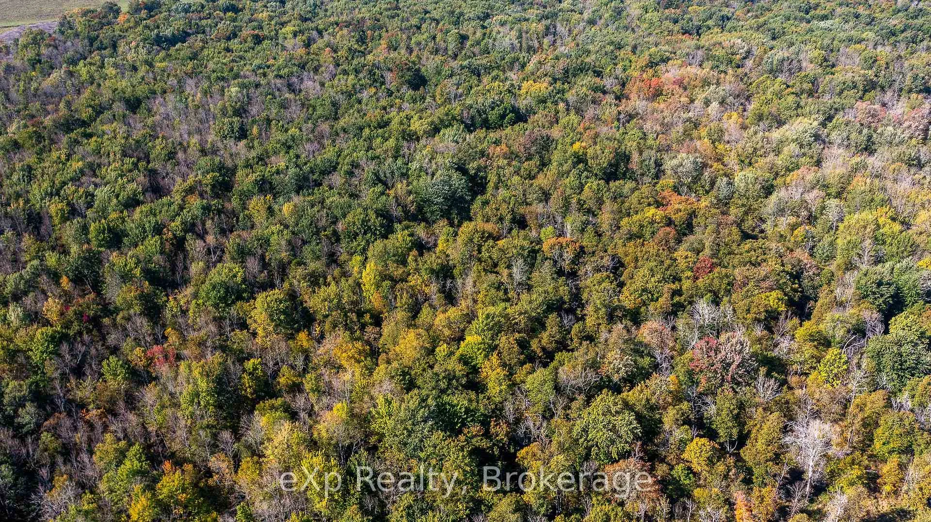 Photo 6 of 1/4 LT3 Sideroad 3, Chatsworth — HOMEH