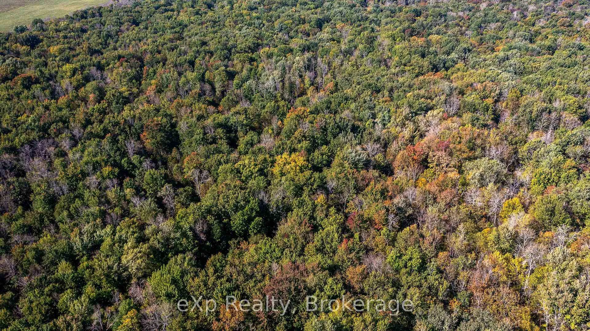 Photo 7 of 1/4 LT3 Sideroad 3, Chatsworth — HOMEH