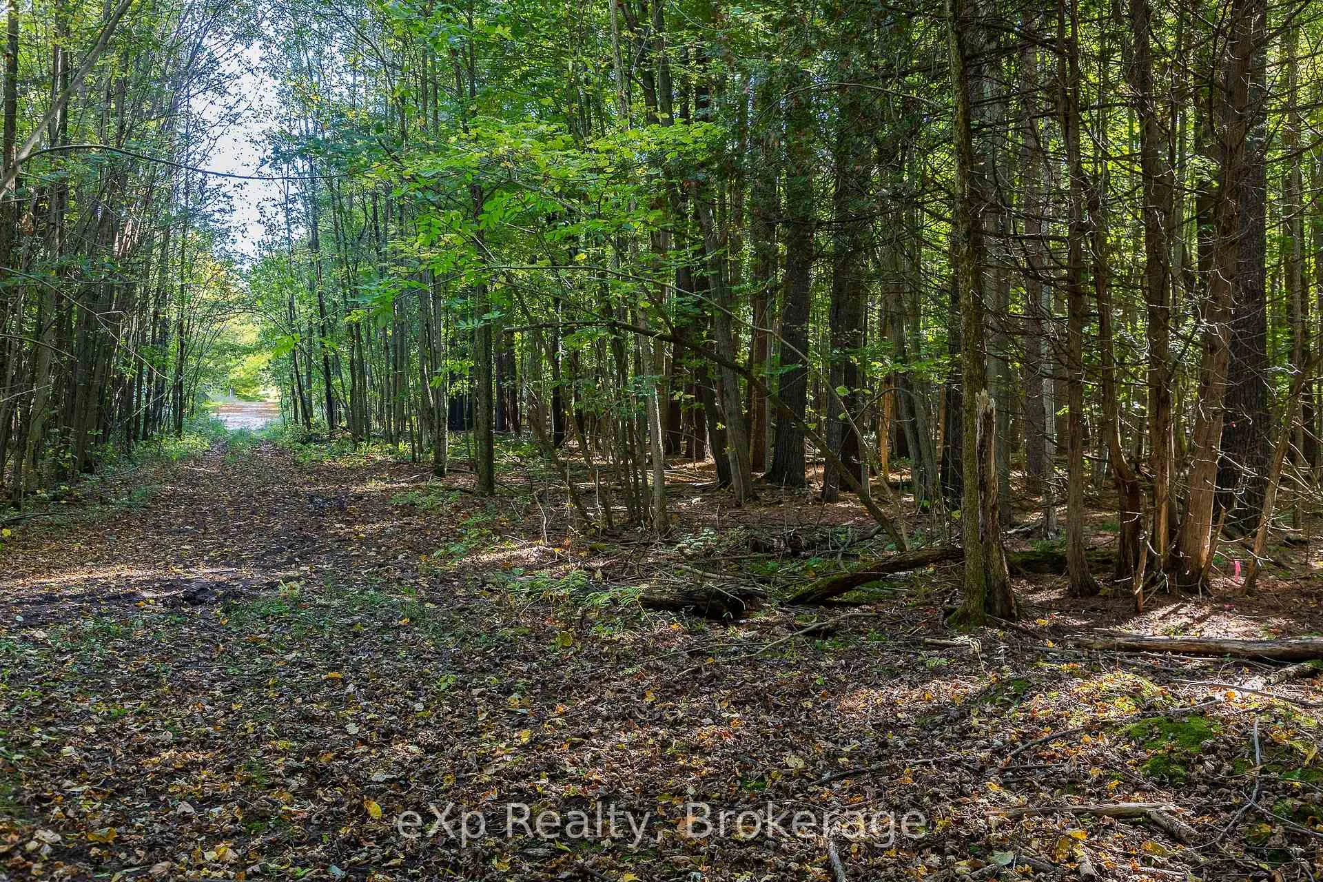 Photo 15 of 1/4 LT3 Sideroad 3, Chatsworth — HOMEH