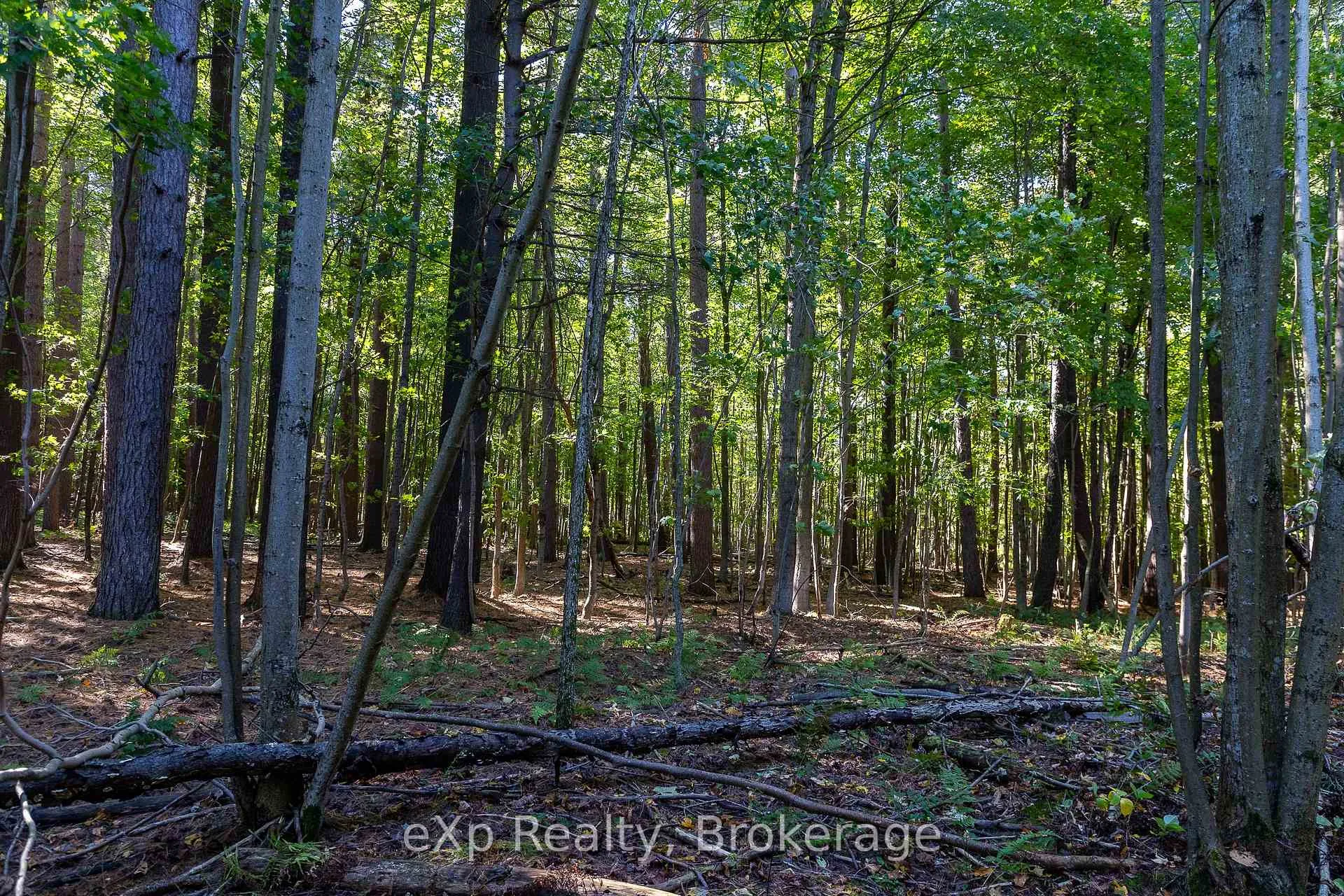 Photo 16 of 1/4 LT3 Sideroad 3, Chatsworth — HOMEH