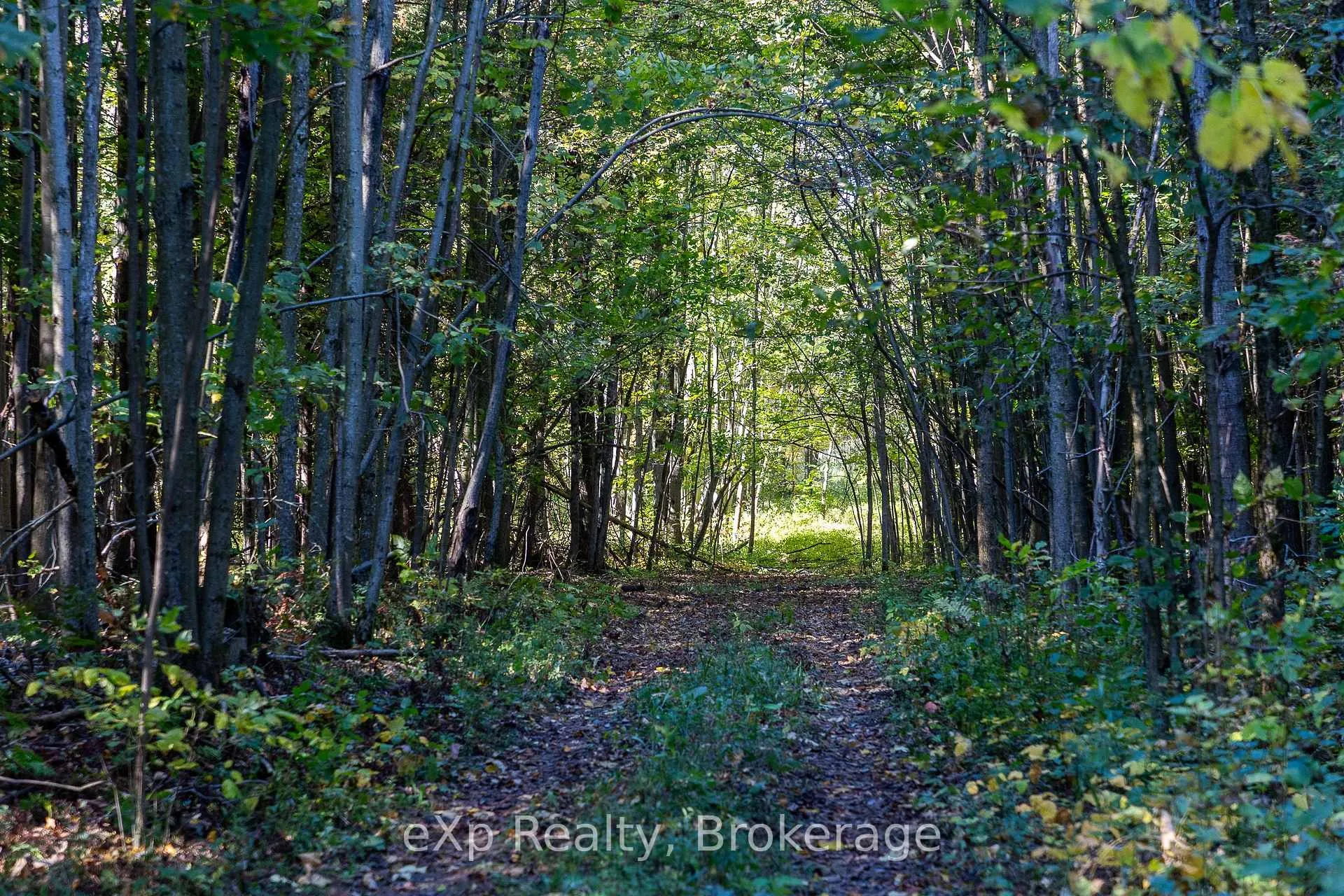 Photo 17 of 1/4 LT3 Sideroad 3, Chatsworth — HOMEH