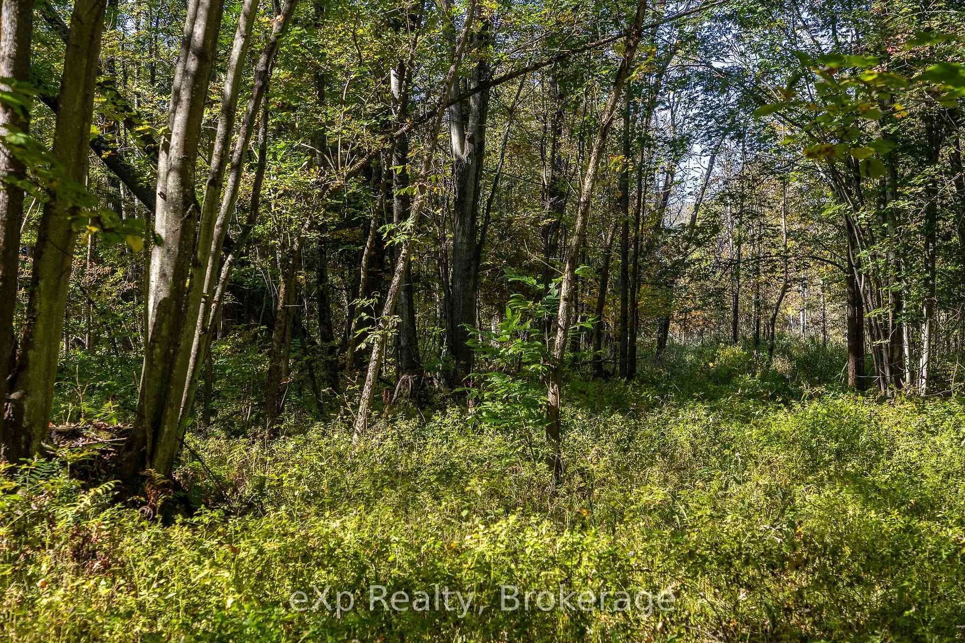 Photo 18 of 1/4 LT3 Sideroad 3, Chatsworth — HOMEH
