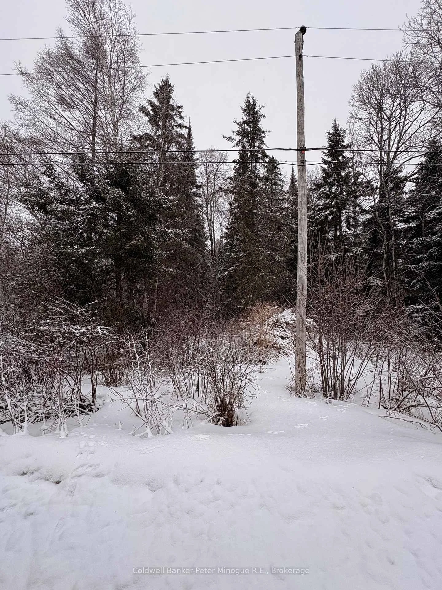 Photo 2 of 508 Sweezey Street, Powassan, Trout Creek — HOMEH