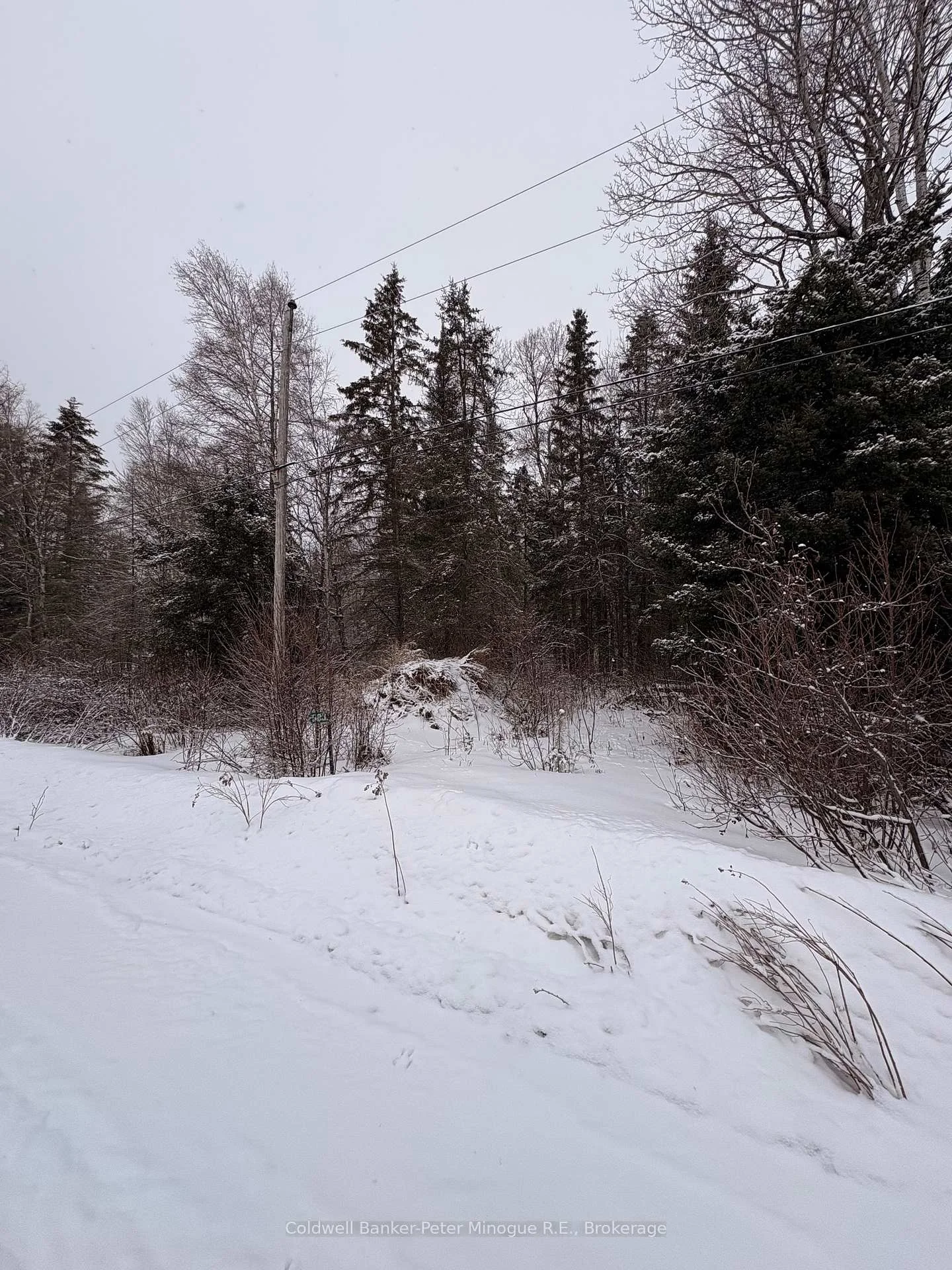 Photo 3 of 508 Sweezey Street, Powassan, Trout Creek — HOMEH