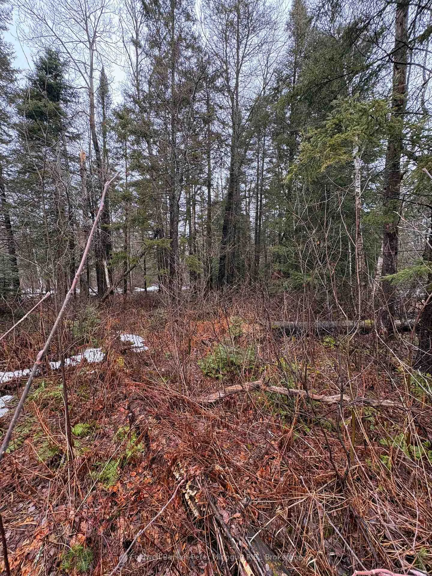 Photo 8 of 508 Sweezey Street, Powassan, Trout Creek — HOMEH