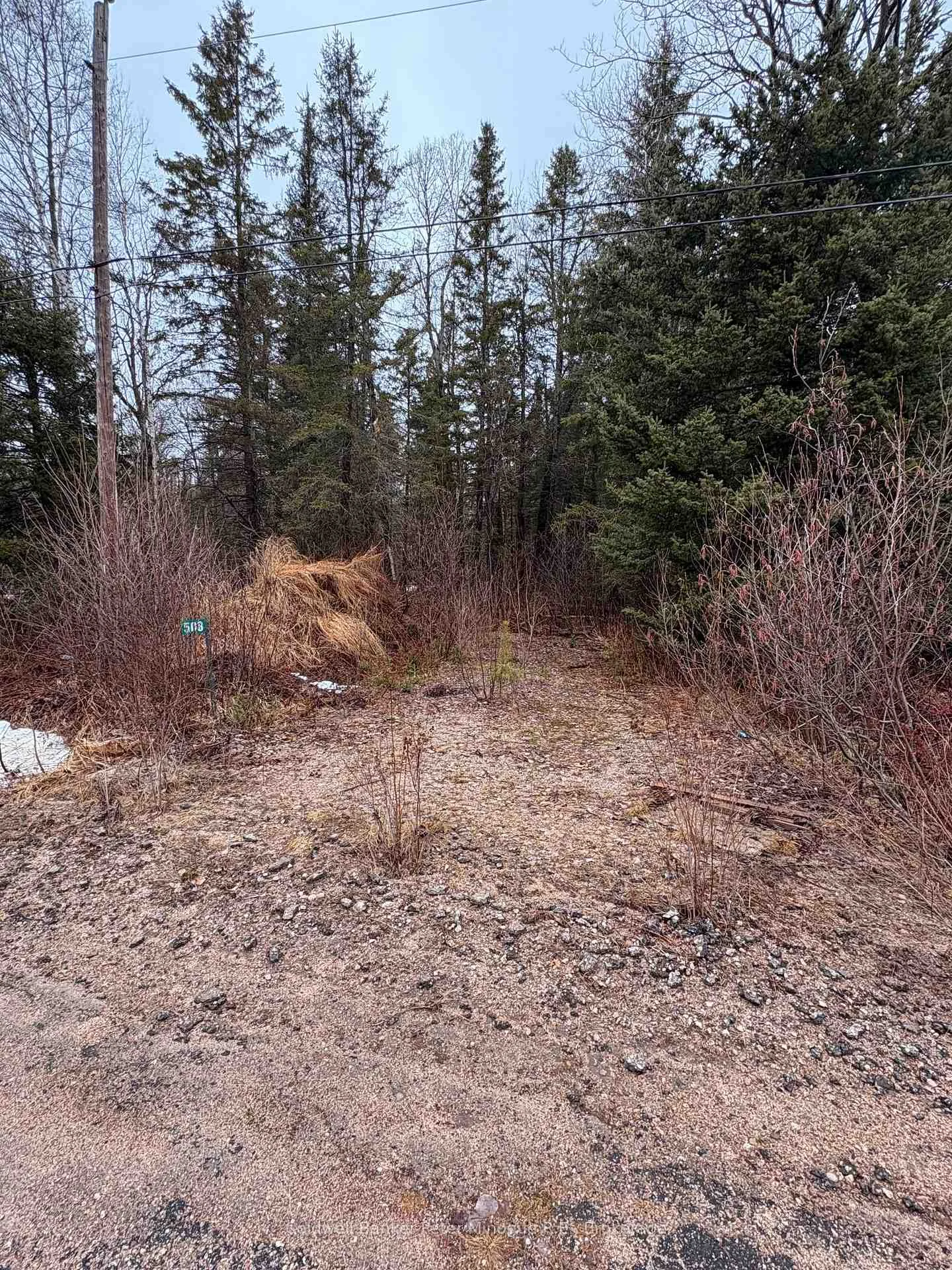 Photo 9 of 508 Sweezey Street, Powassan, Trout Creek — HOMEH