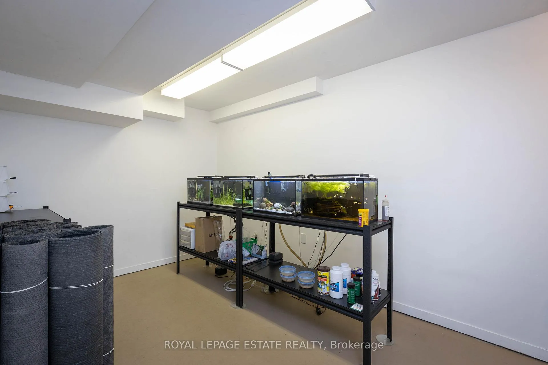Photo 34 of 432 Queen Street E, Toronto, Regent Park — HOMEH