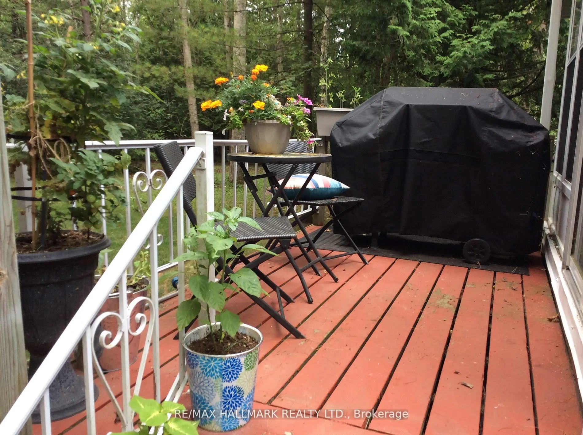 Photo 11 of 6 Prince Charles Avenue, Barrie, Little Lake — HOMEH