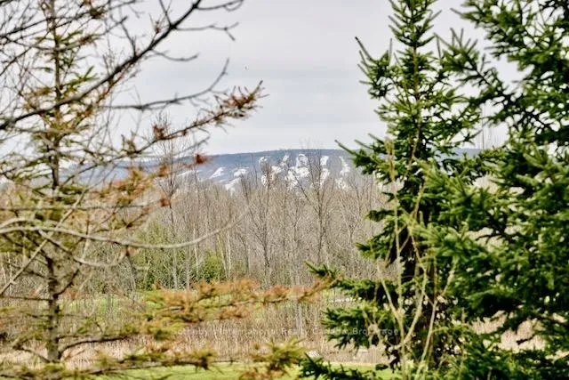 Photo 5 of 42 Sierra Trail, Collingwood — HOMEH