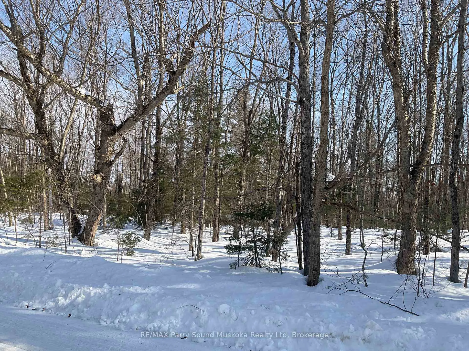 Photo 4 of 67 Pine Grove Road, Parry Sound Remote Area, Wilson — HOMEH