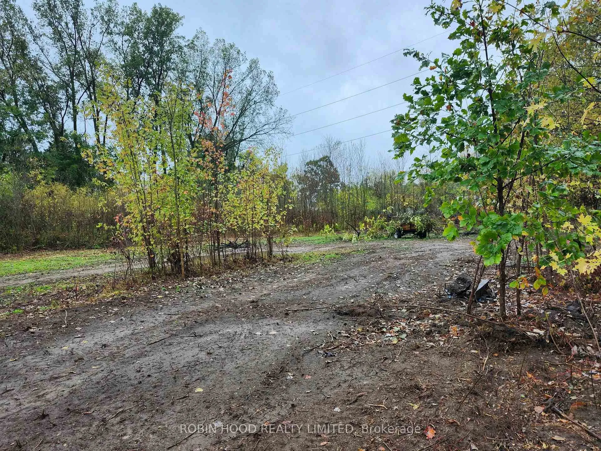 Photo 6 of 54255 Shafley Road S, Wainfleet, Marshville/Winger — HOMEH