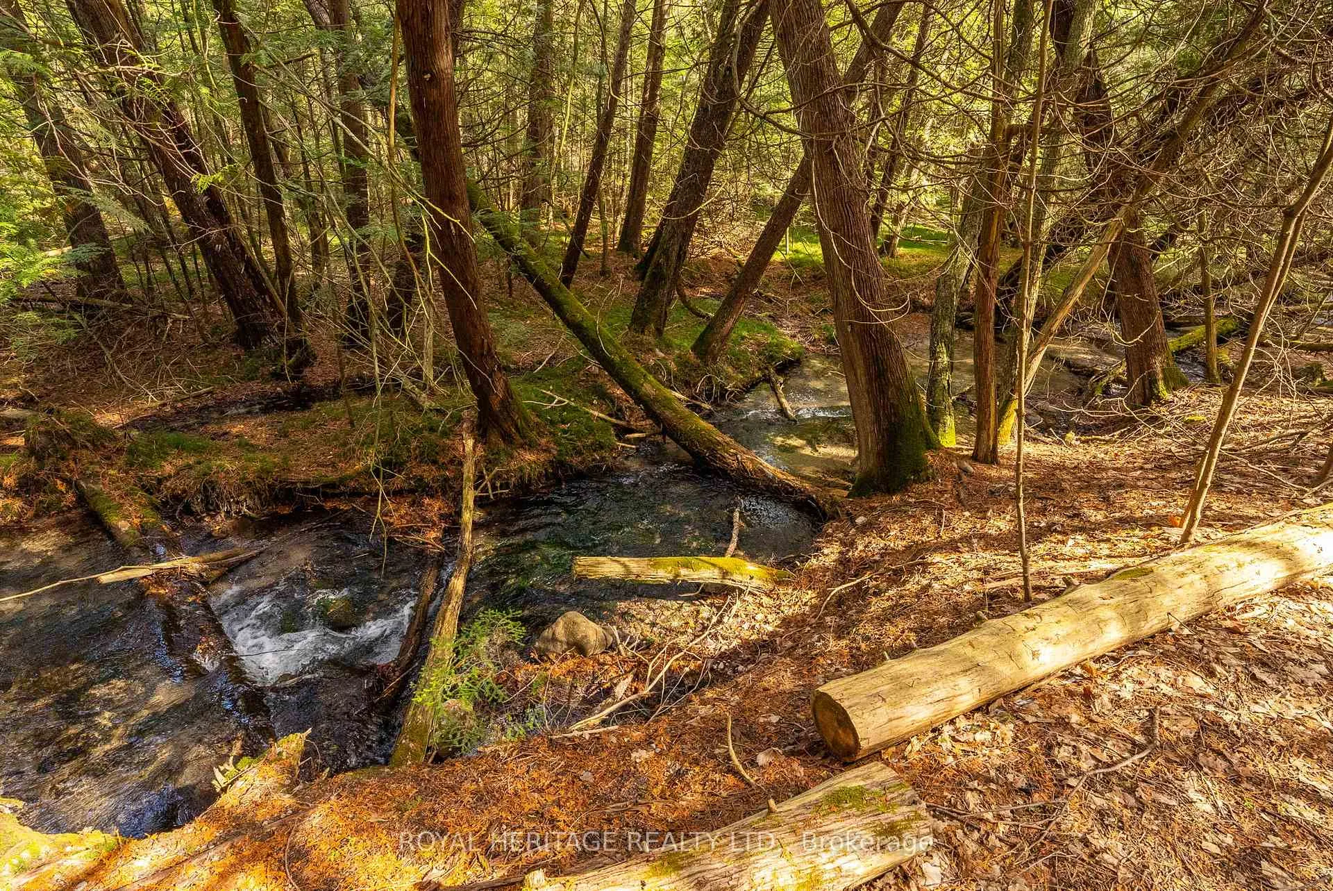 Photo 49 of 9015 Mosport Road, Clarington, Rural Clarington — HOMEH