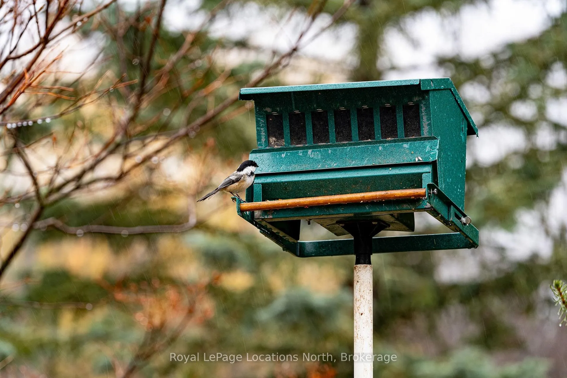 Photo 22 of 26 Oslerview Drive, Clearview, Rural Clearview — HOMEH