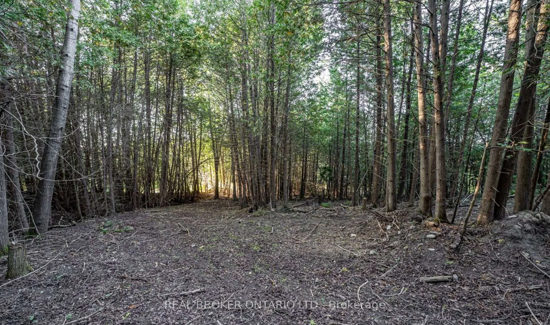 Photo 3 of 5703 10th Side Road, Essa, Rural Essa — HOMEH