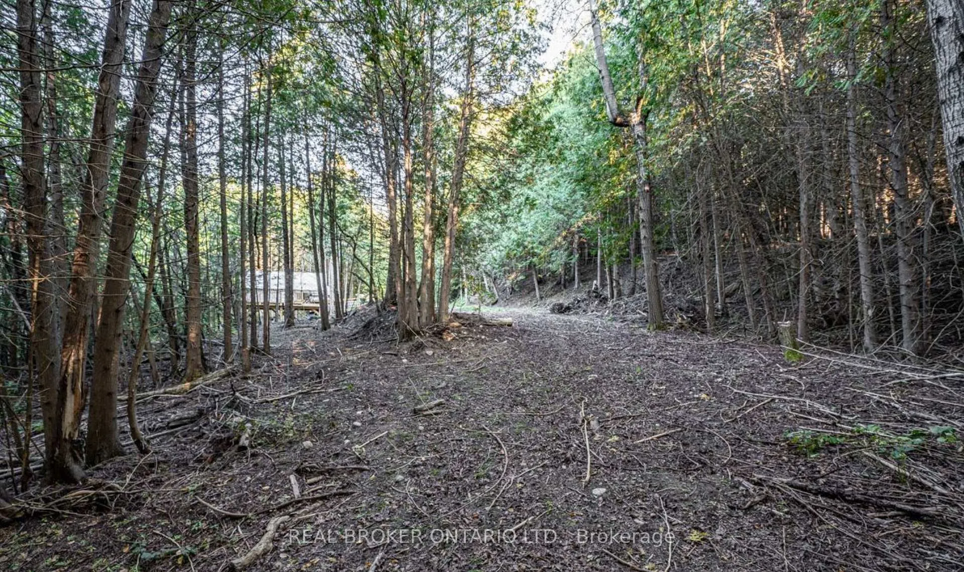 Photo 4 of 5703 10th Side Road, Essa, Rural Essa — HOMEH