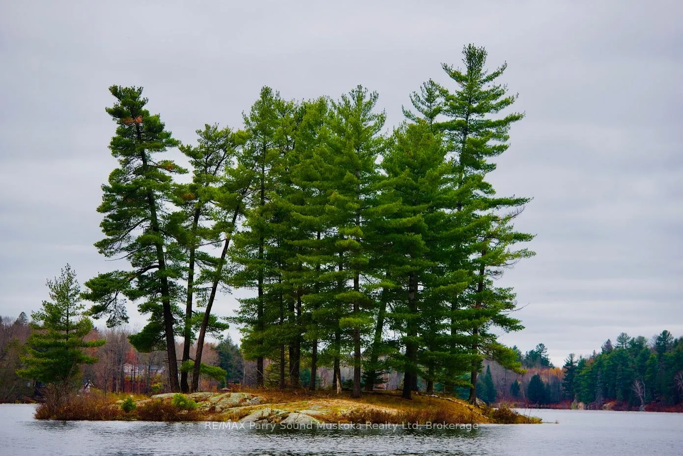 Photo 7 of 00 Jack'S, Parry Sound Remote Area, Golden Valley — HOMEH