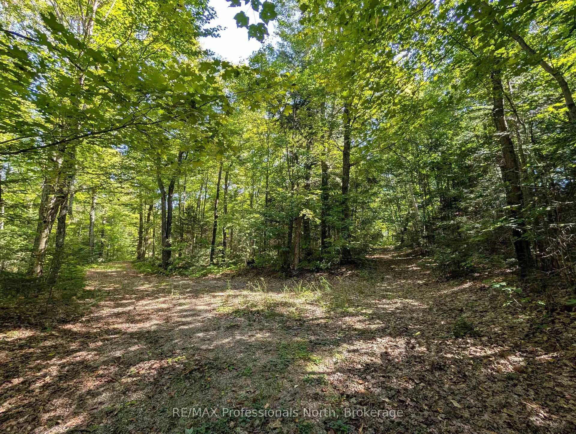 Photo 2 of 611 Bray Lake Road, Machar — HOMEH