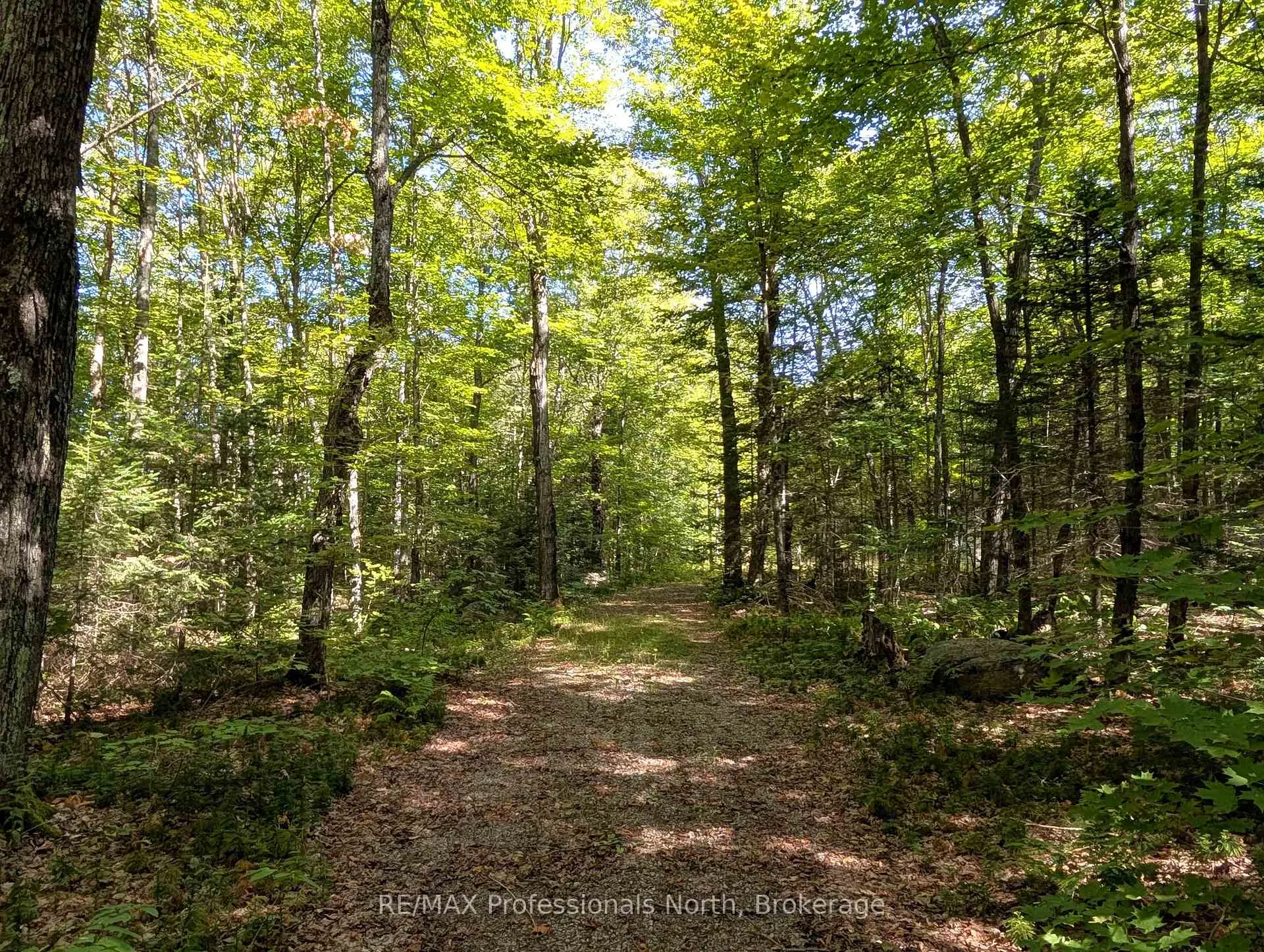 Photo 7 of 611 Bray Lake Road, Machar — HOMEH