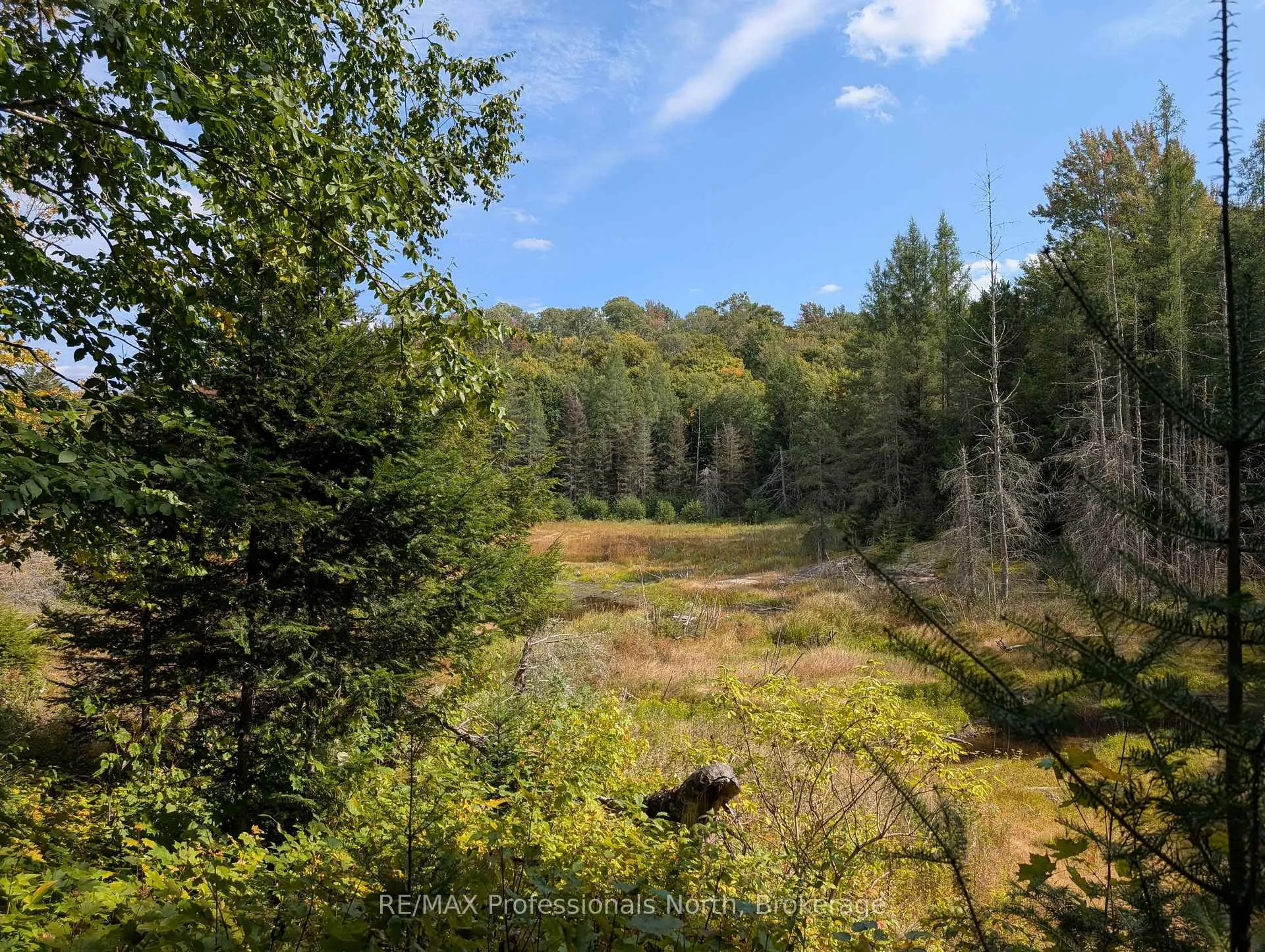 Photo 8 of 611 Bray Lake Road, Machar — HOMEH