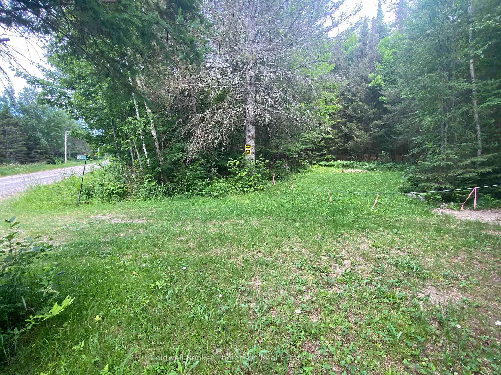 Photo 3 of 440 Riding Ranch Road, Machar — HOMEH