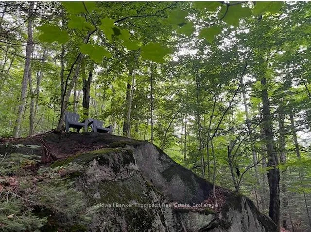 Photo 13 of 440 Riding Ranch Road, Machar — HOMEH