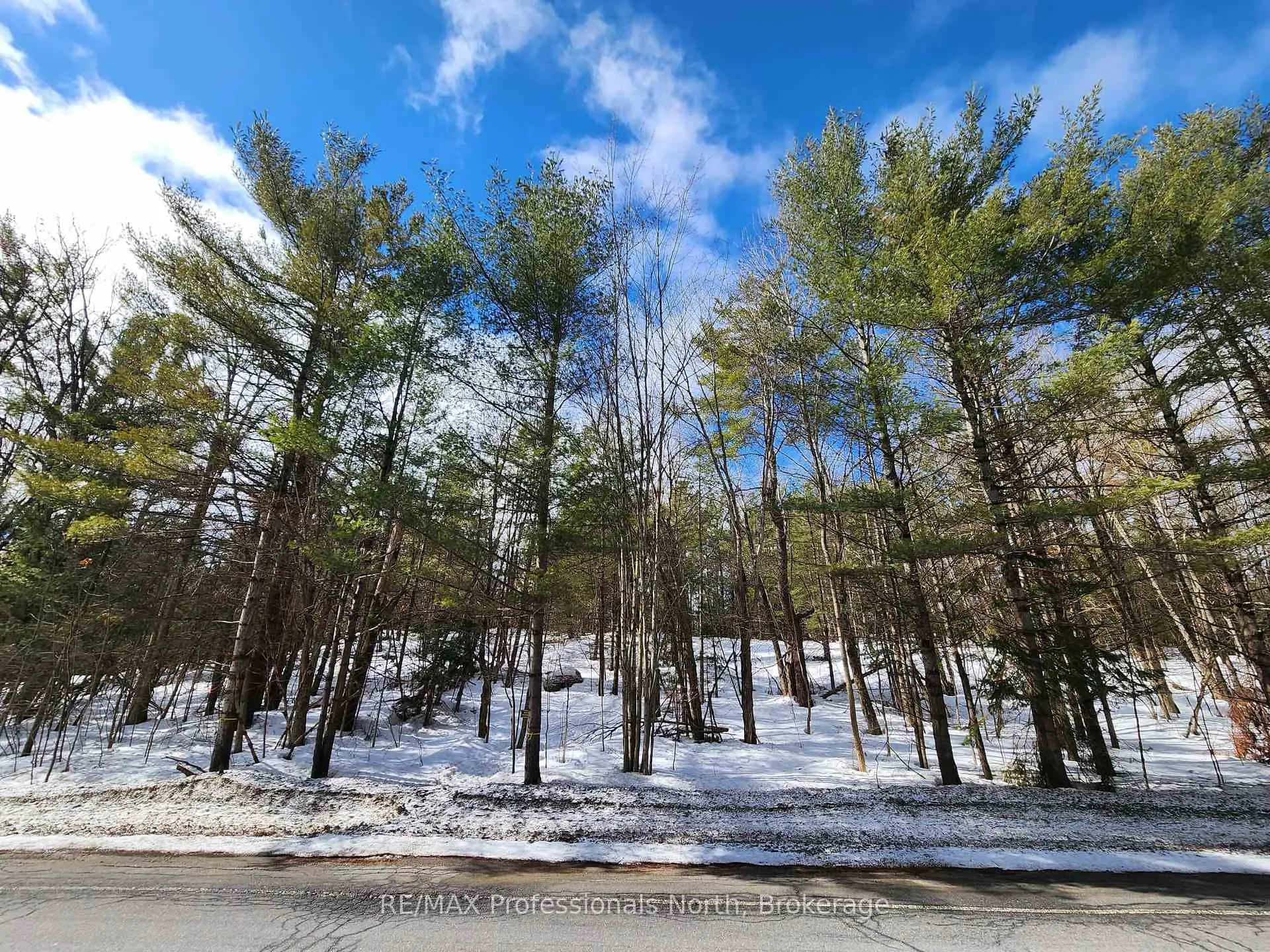 Photo 11 of 00 Manitoba Road, Bracebridge, Macaulay — HOMEH
