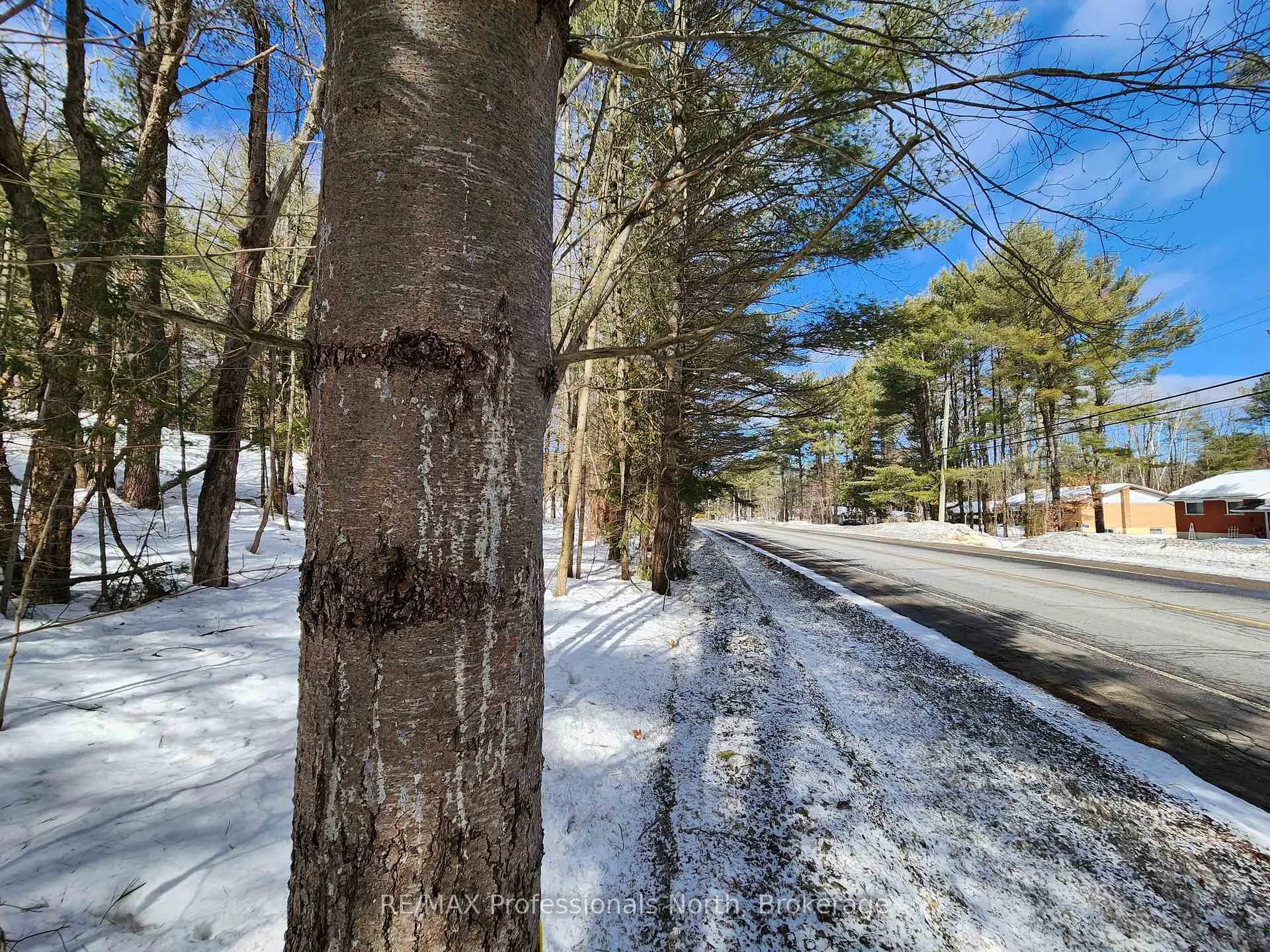 Photo 13 of 00 Manitoba Road, Bracebridge, Macaulay — HOMEH