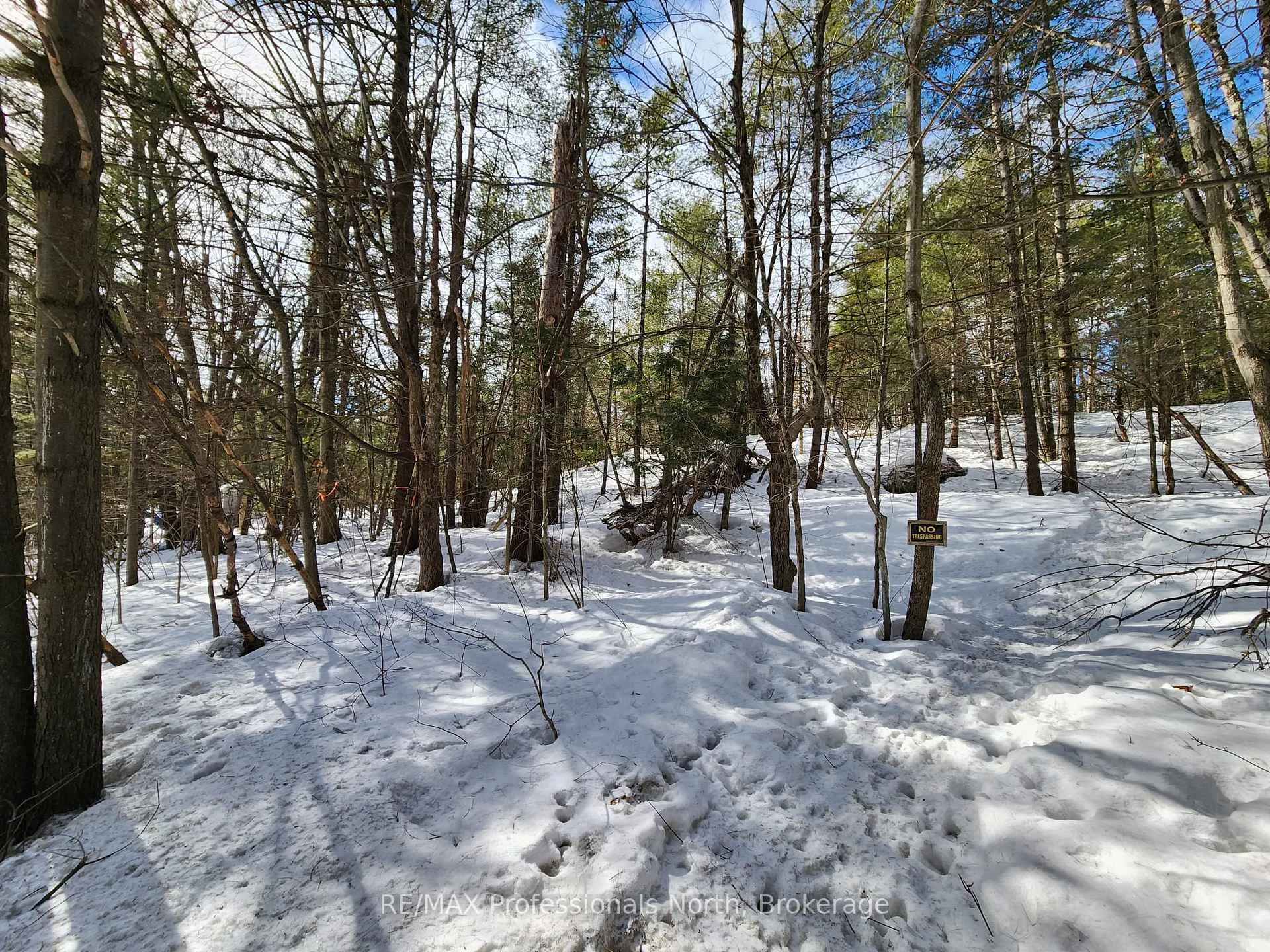 Photo 14 of 00 Manitoba Road, Bracebridge, Macaulay — HOMEH