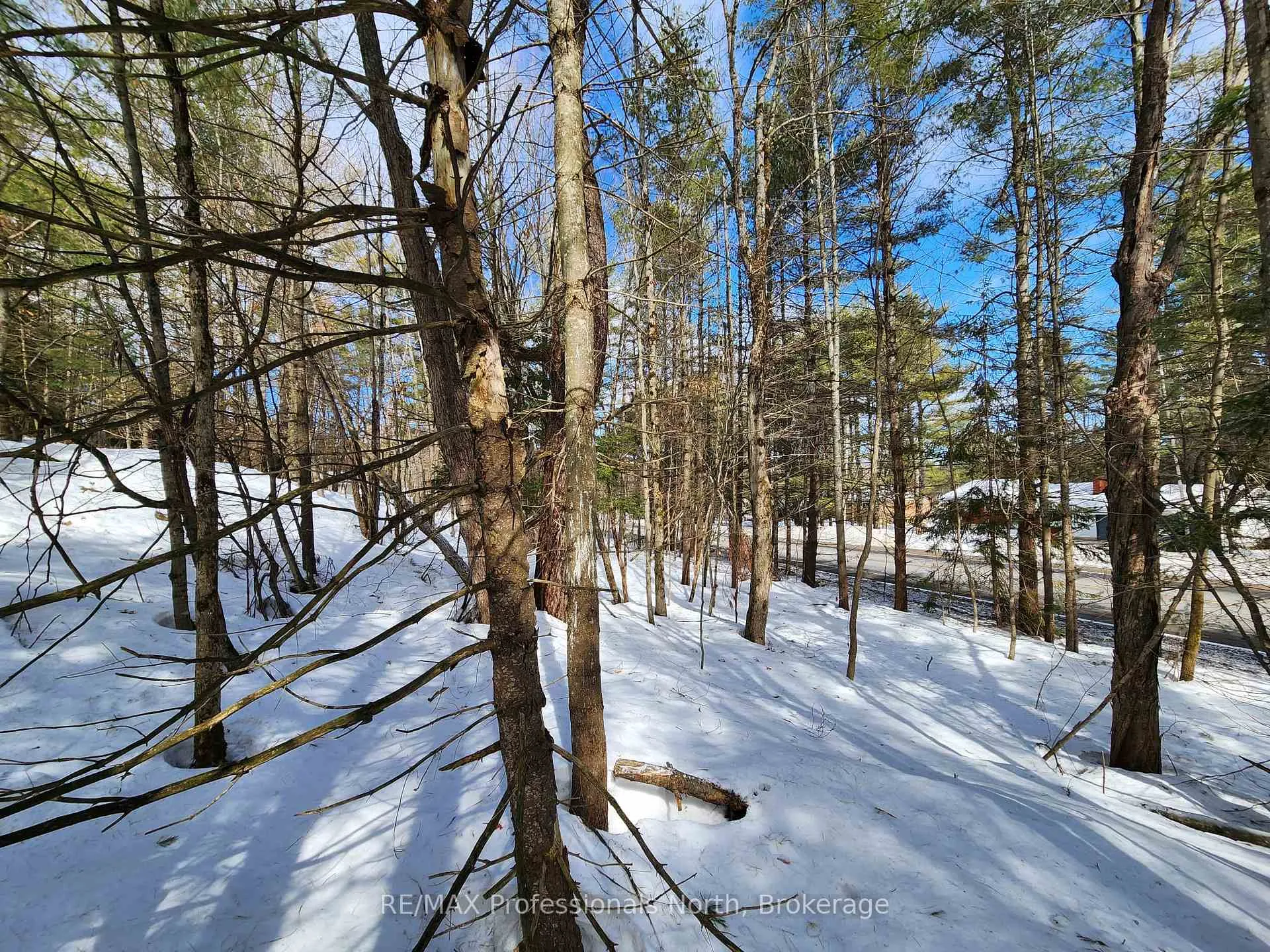Photo 15 of 00 Manitoba Road, Bracebridge, Macaulay — HOMEH