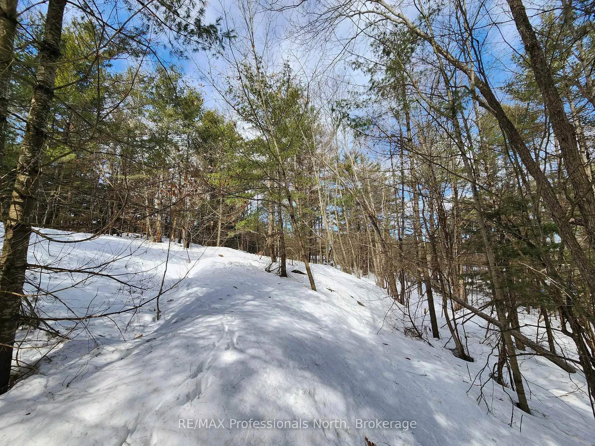 Photo 18 of 00 Manitoba Road, Bracebridge, Macaulay — HOMEH